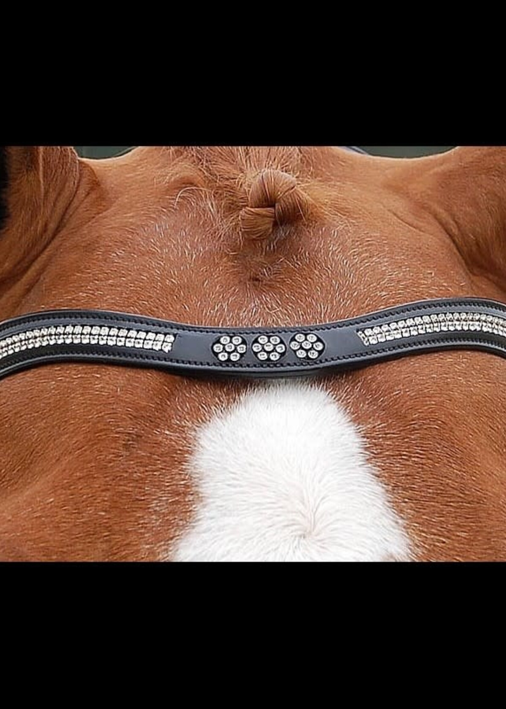 Dy'on Dyon Swarovski Crystal Flower V Shape Browband