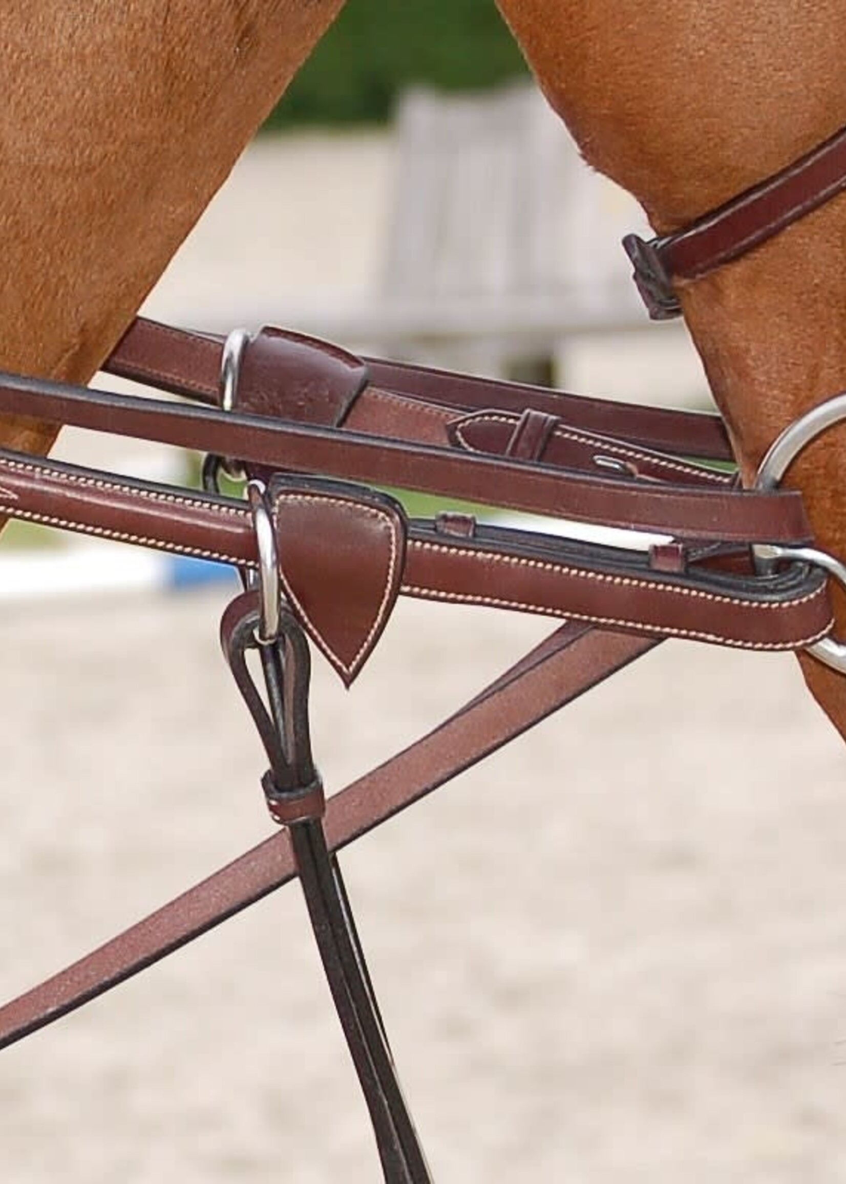 Dy'on Dyon Collection Leather Draw Reins