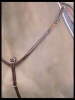 Dy'on Dyon Collection Fancy Breastplate