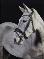GFS GFS Premier Prime Bridle