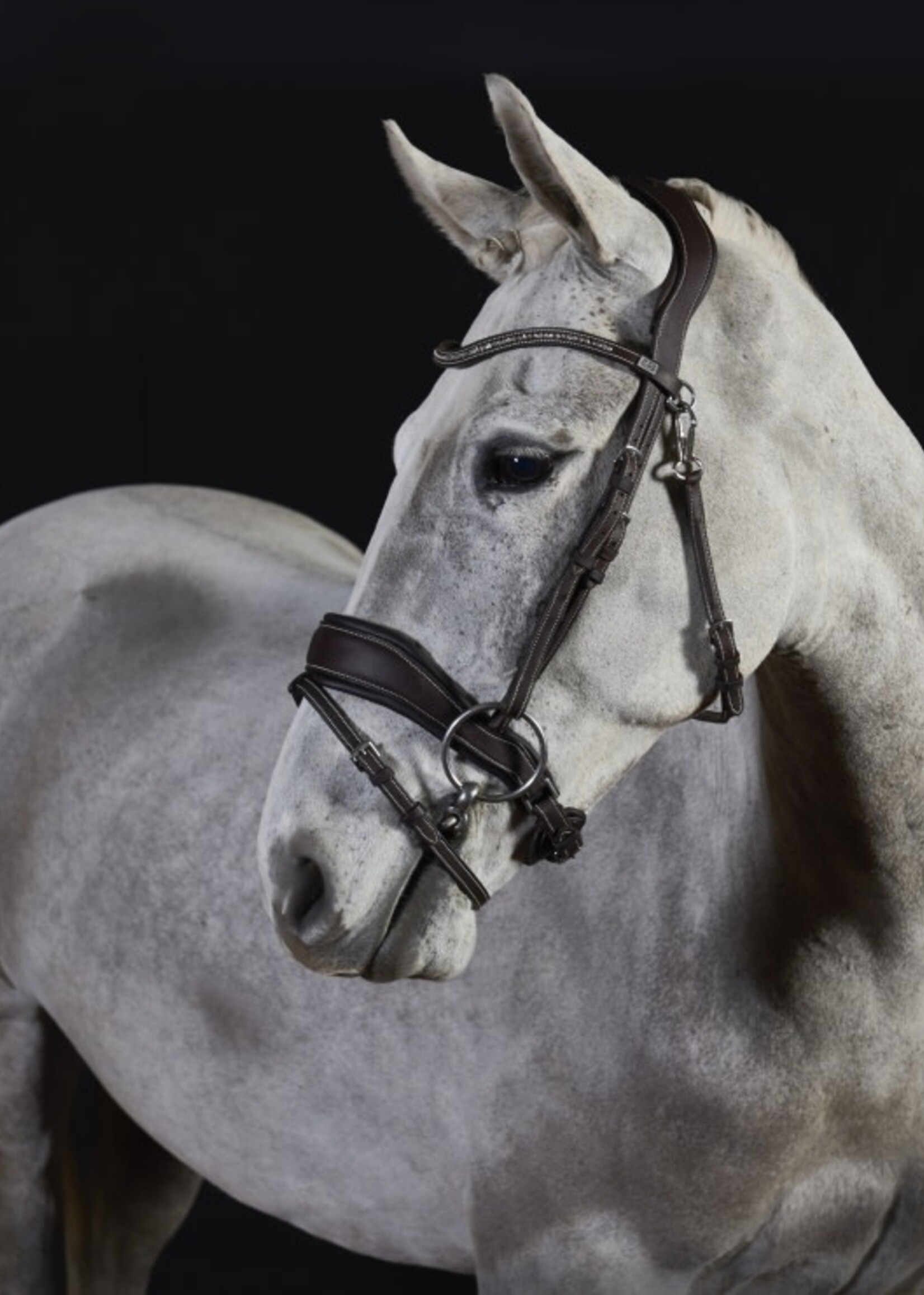 GFS GFS Premier Prime Bridle