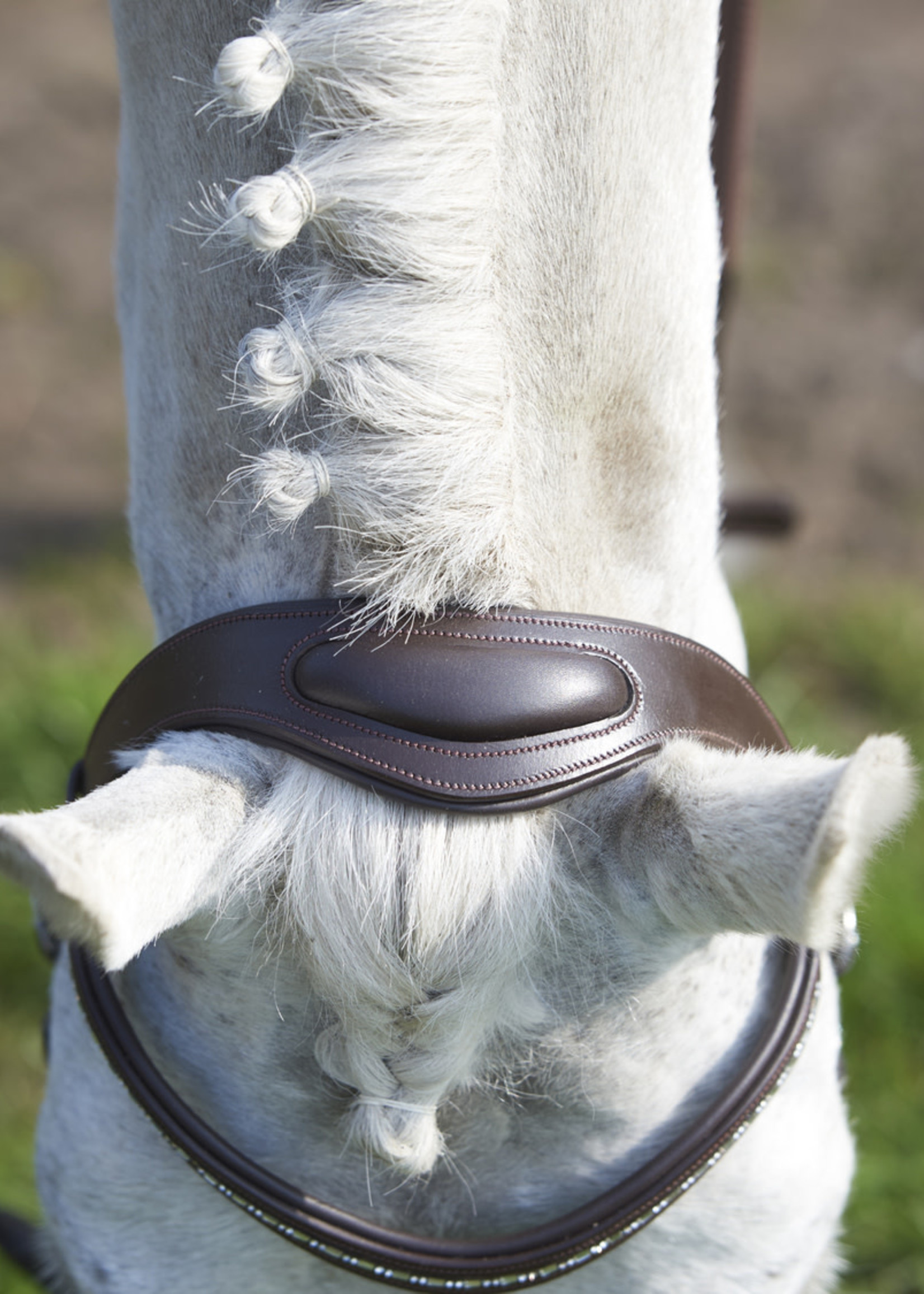 GFS GFS Simplicity Bridle