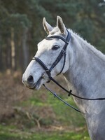 GFS GFS Simplicity Bridle