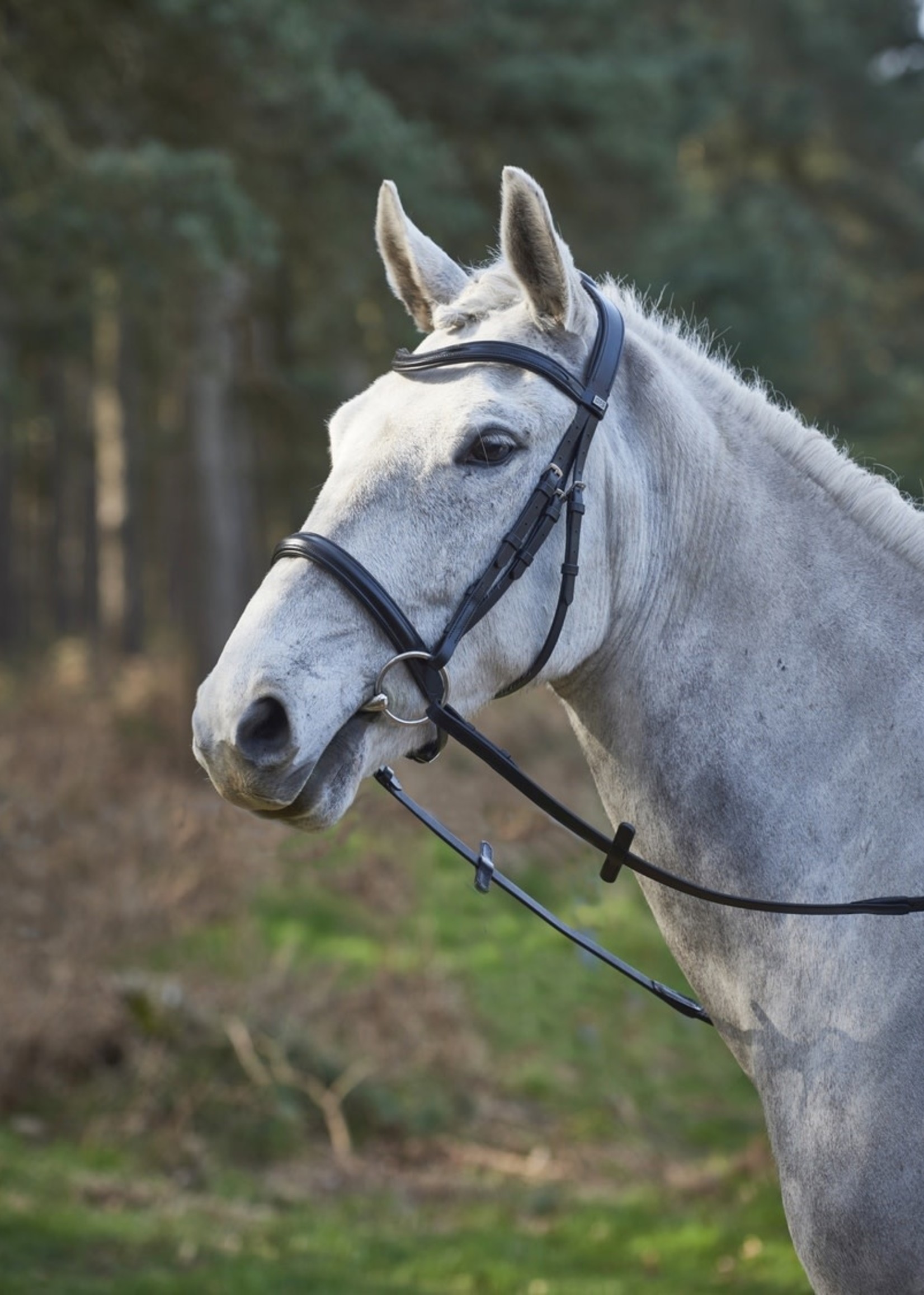 GFS GFS Simplicity Bridle