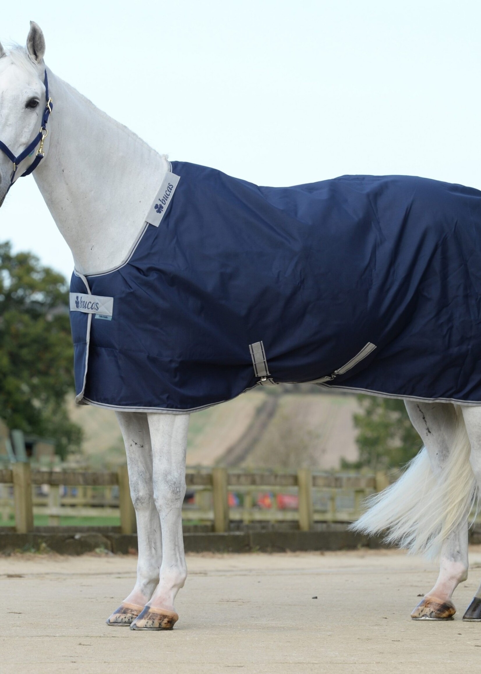 Bucas Bucas Celtic Stable Extra 300g Rug