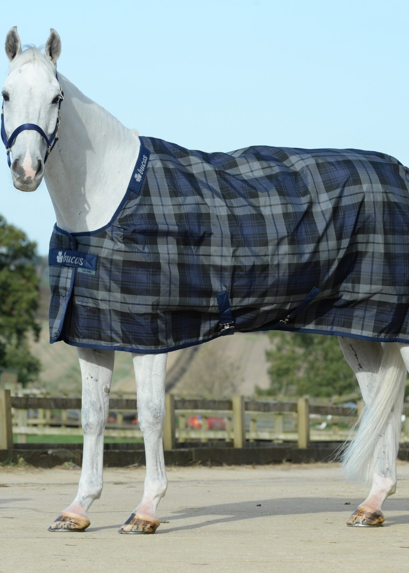 Bucas Bucas Celtic Stable Extra 300g Rug