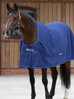 Bucas Bucas Shamrock Power