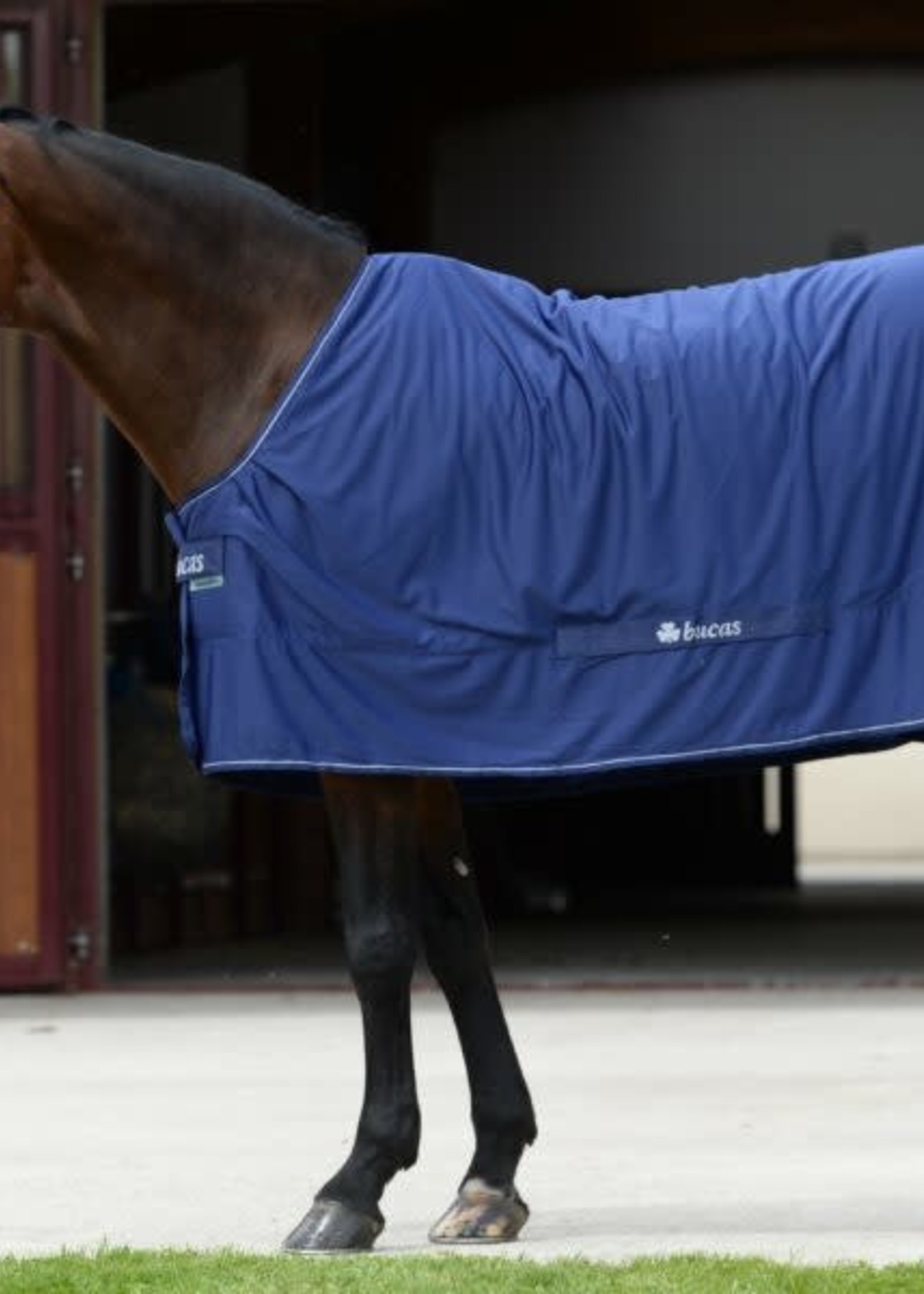 Bucas Bucas Shamrock Power