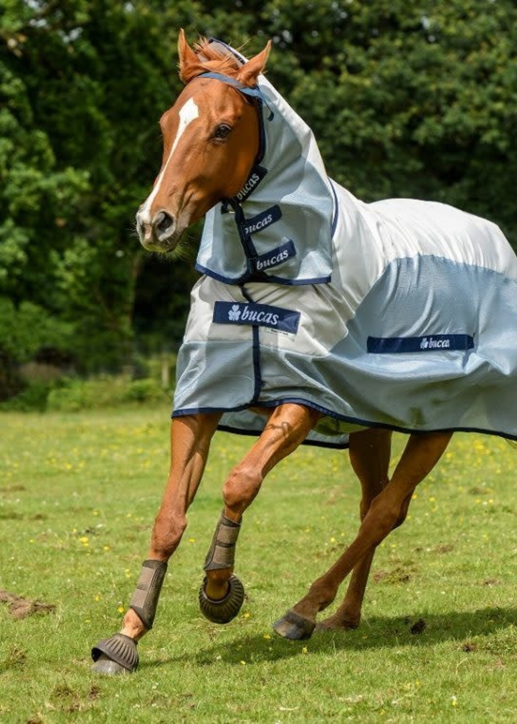 Bucas Bucas Buzz Off Rain Rug with Detachable Combi Neck Cover