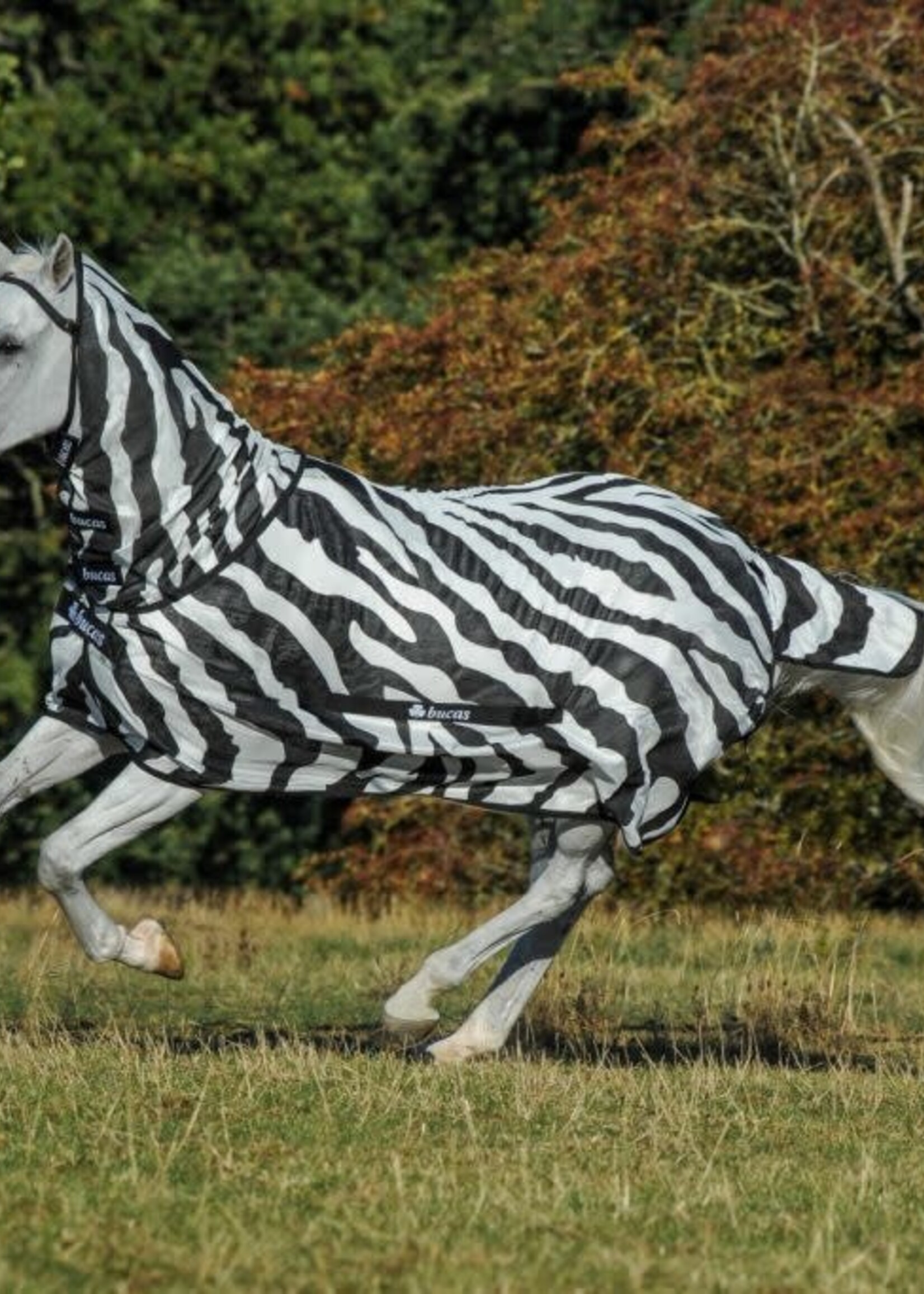Bucas Bucas Buzz Off Zebra Full Neck Fly Rug