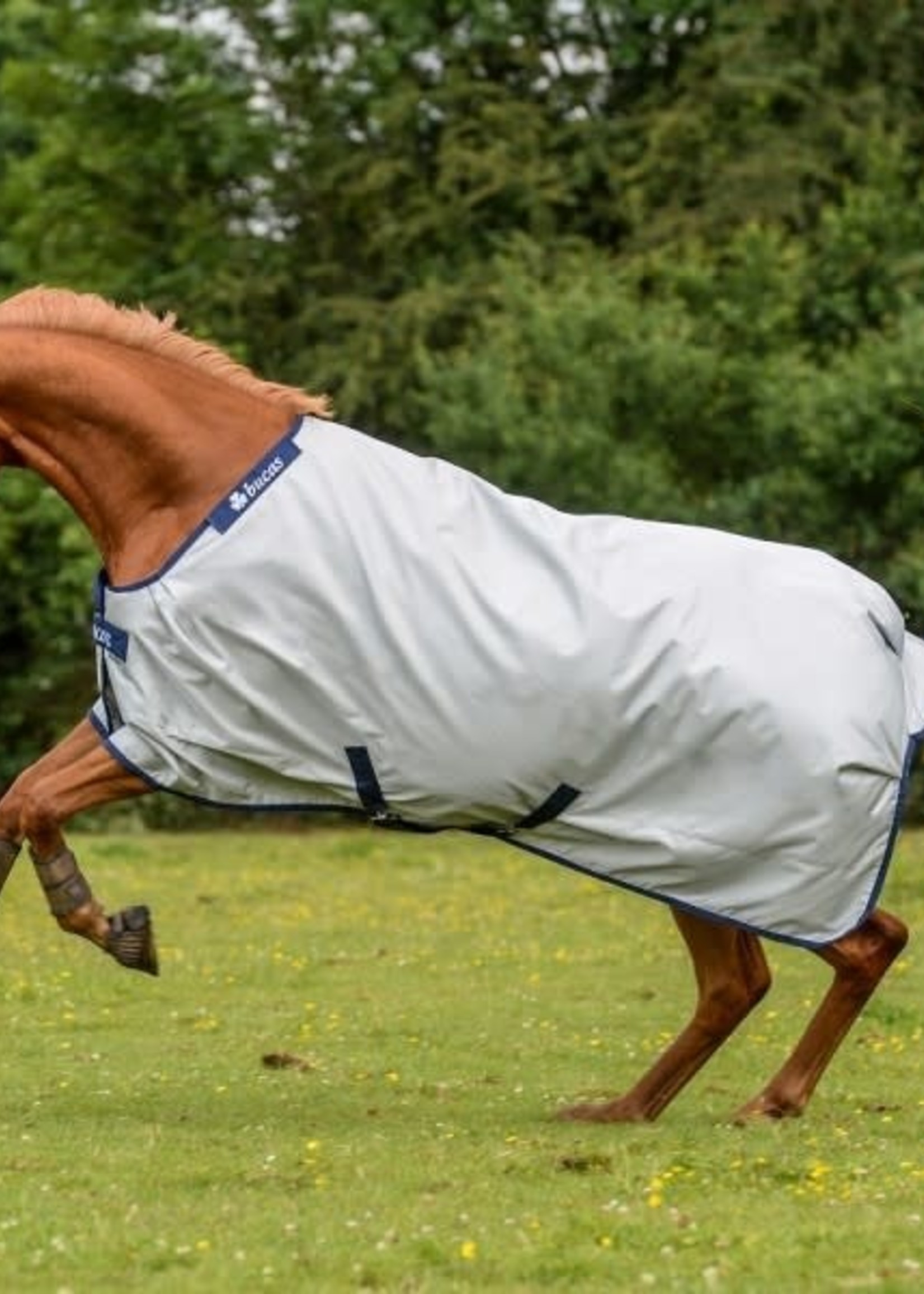 Bucas Bucas Power Extra Turnout Rug