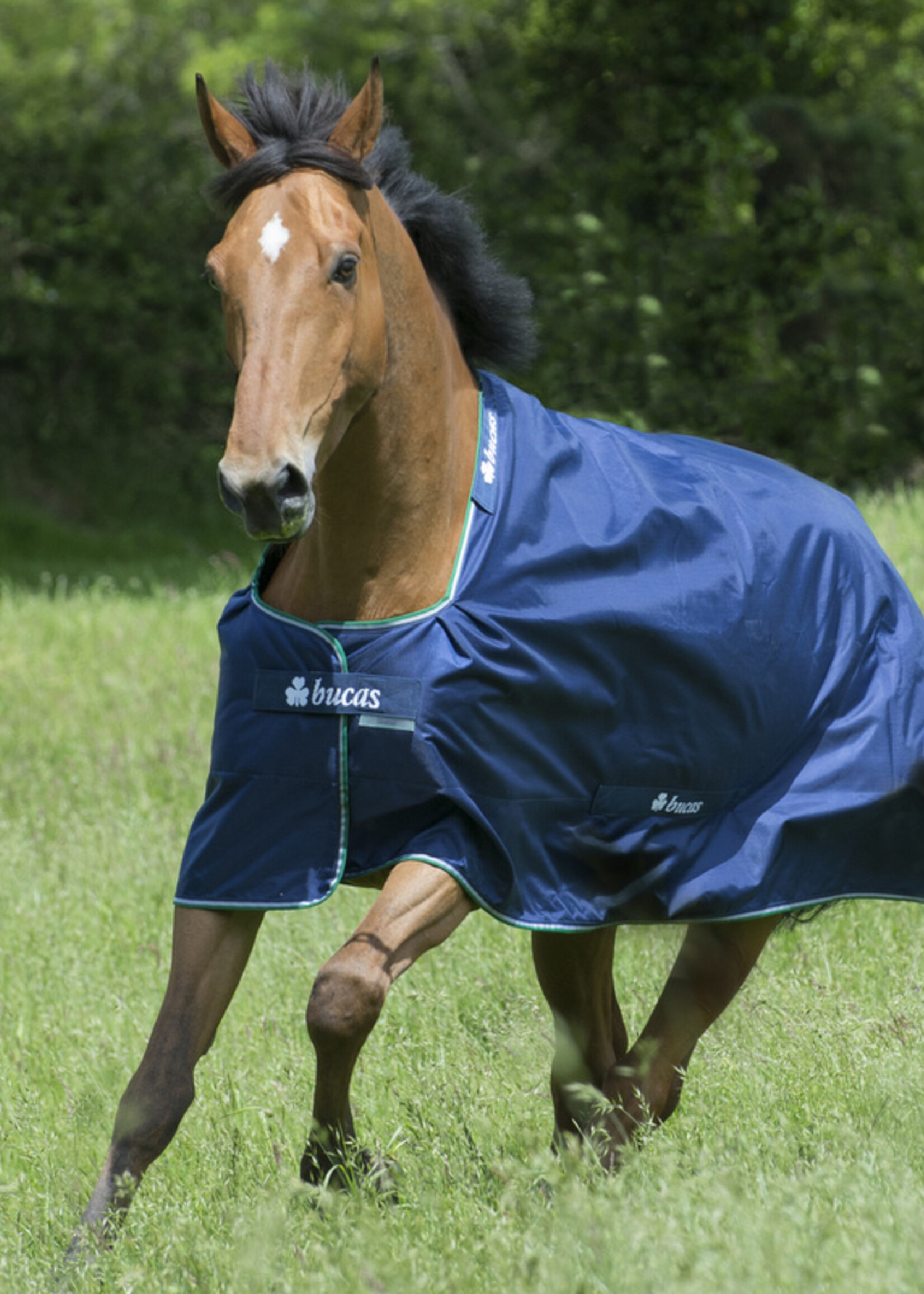 Bucas Bucas Smartex Extra Turnout Rug