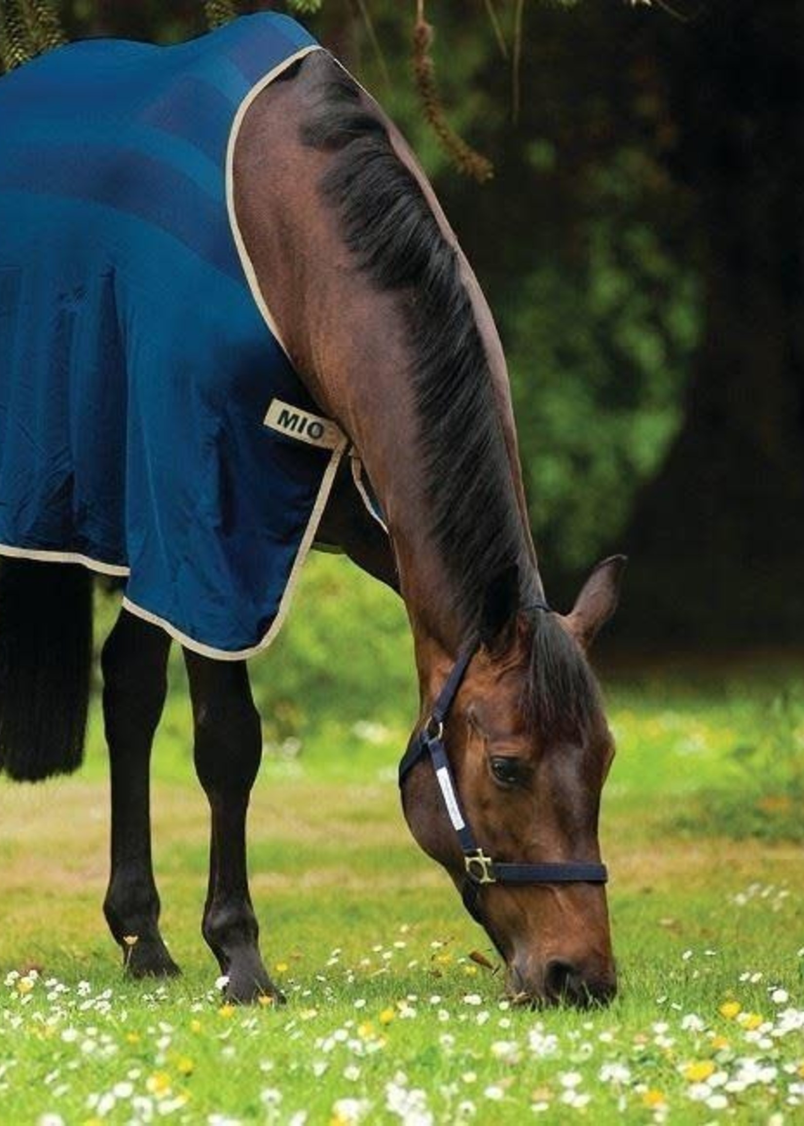 Mio Horseware Mio Skrim Cooler Rug