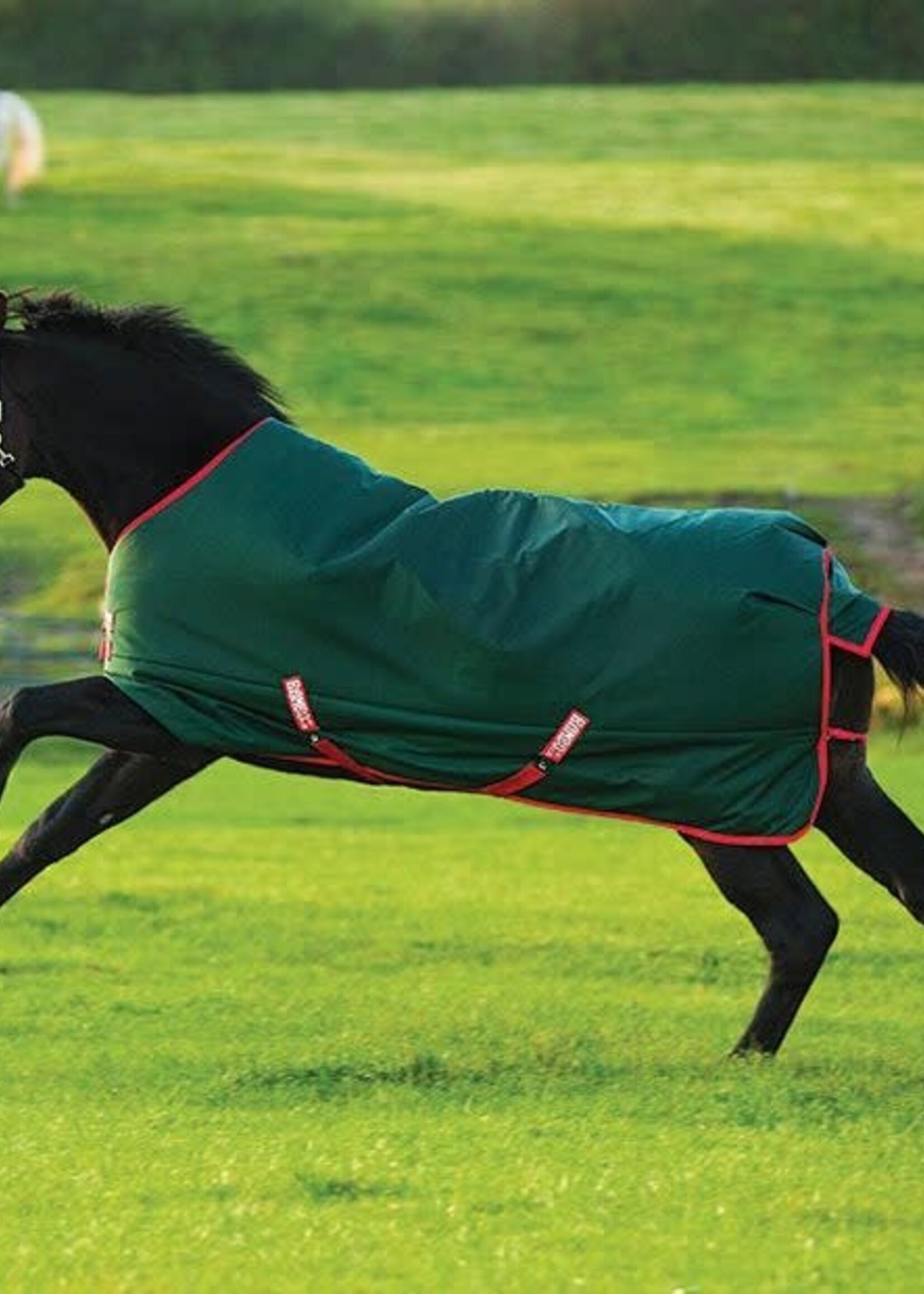 Rambo Horseware Rambo Original Heavy Weight 400gm Turnout Rug