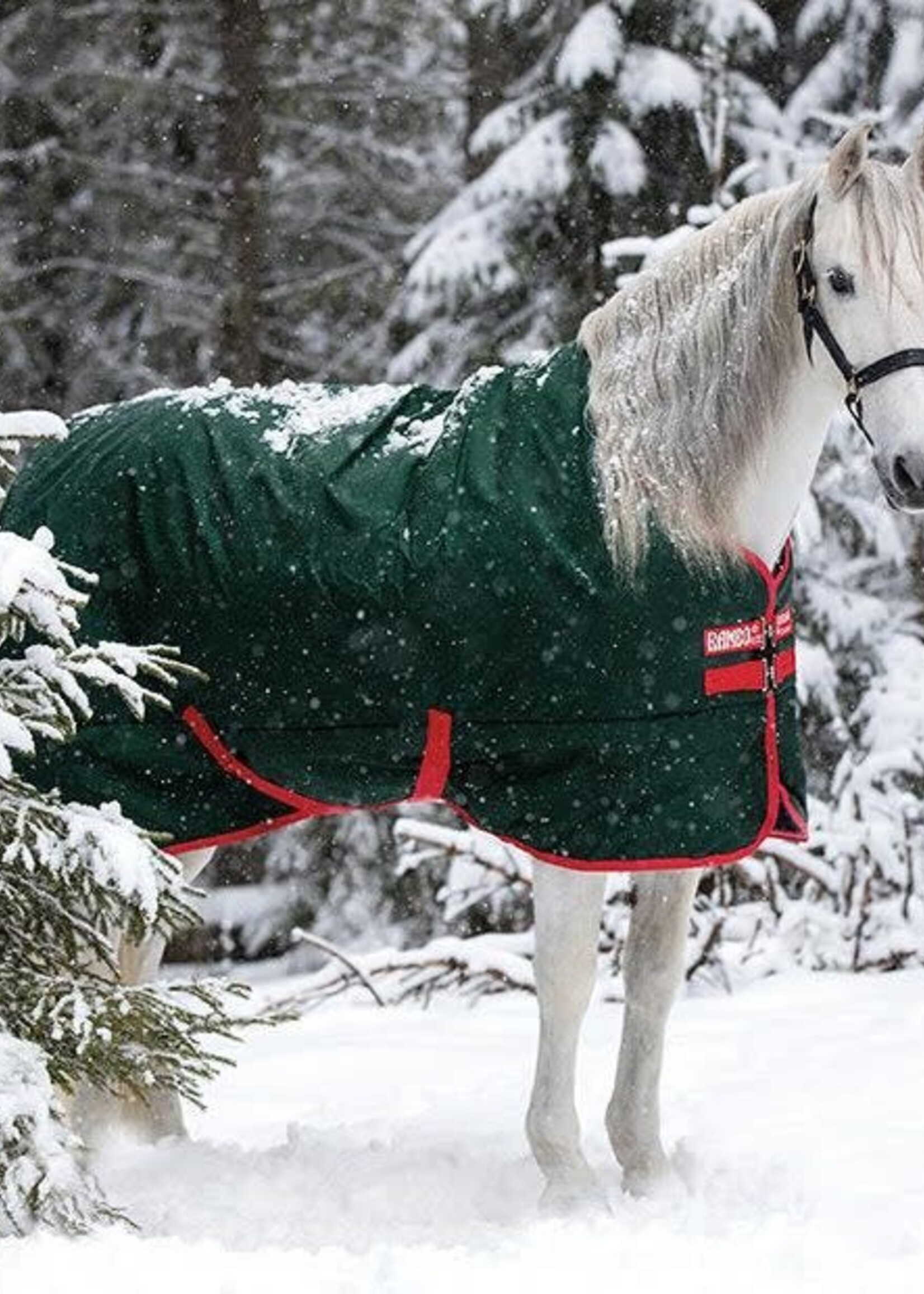 Rambo Horseware Rambo Original Heavy Weight 400gm Turnout Rug