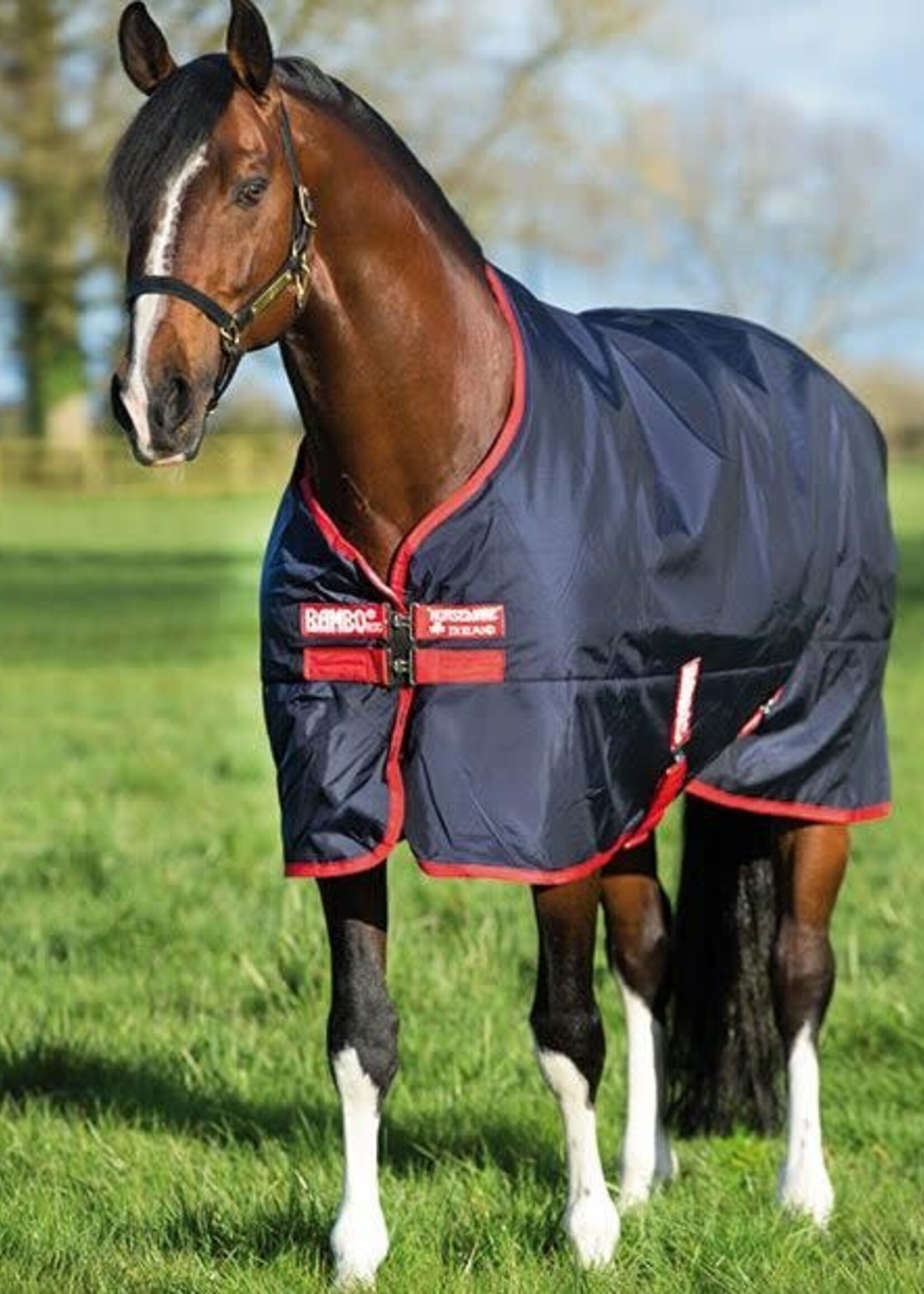 Rambo Horseware Rambo Original Medium 200gm Turnout Rug