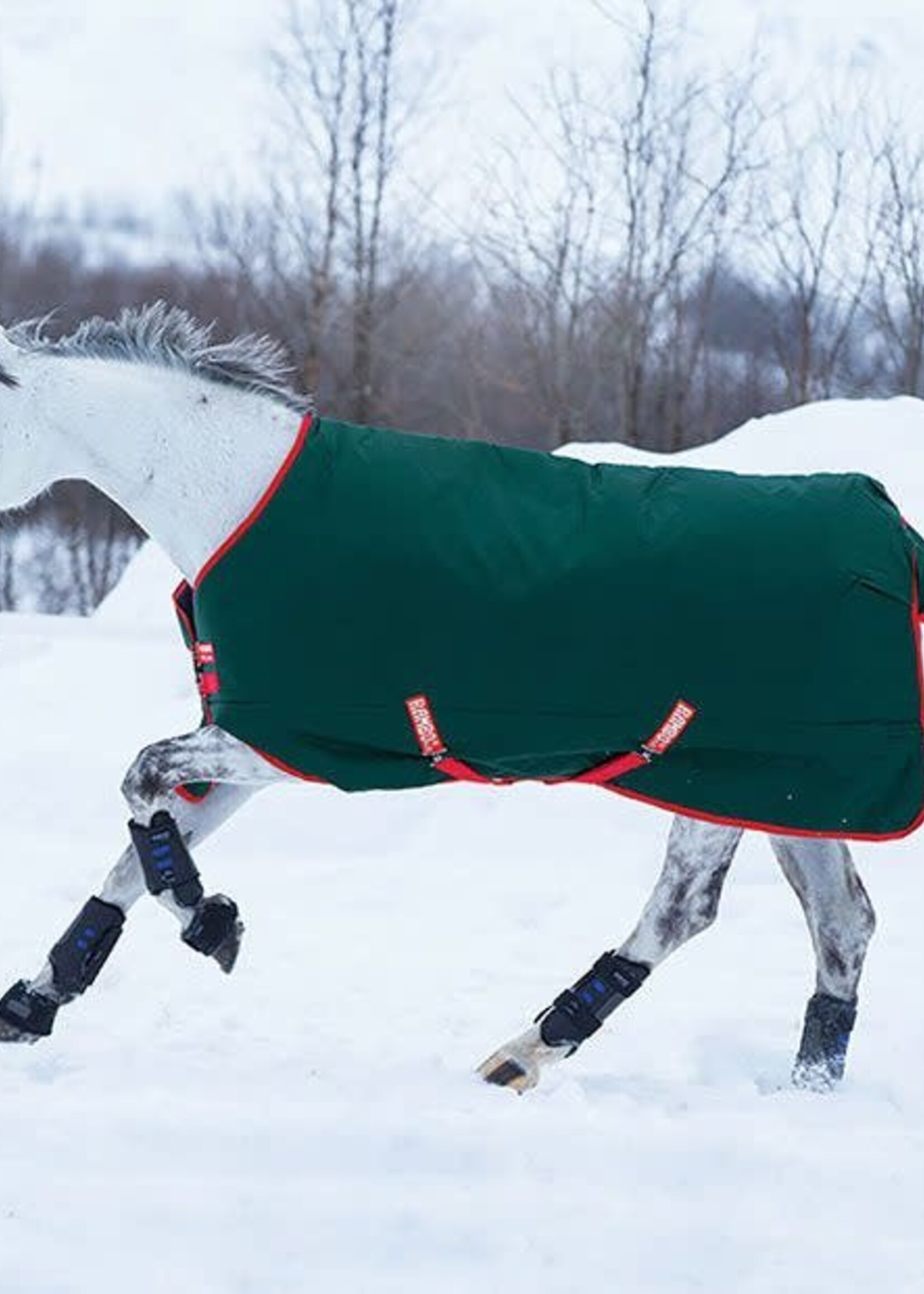 Rambo Horseware Rambo Original Heavy Weight 400gm Turnout Rug