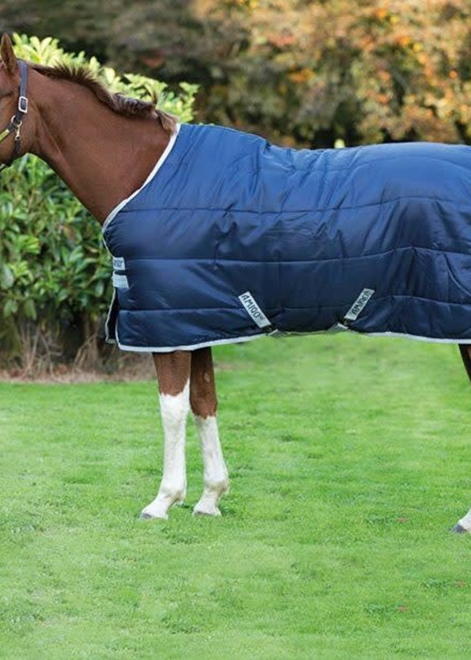 Amigo Horseware Amigo Pony Insulator Medium 200gm Stable Rug