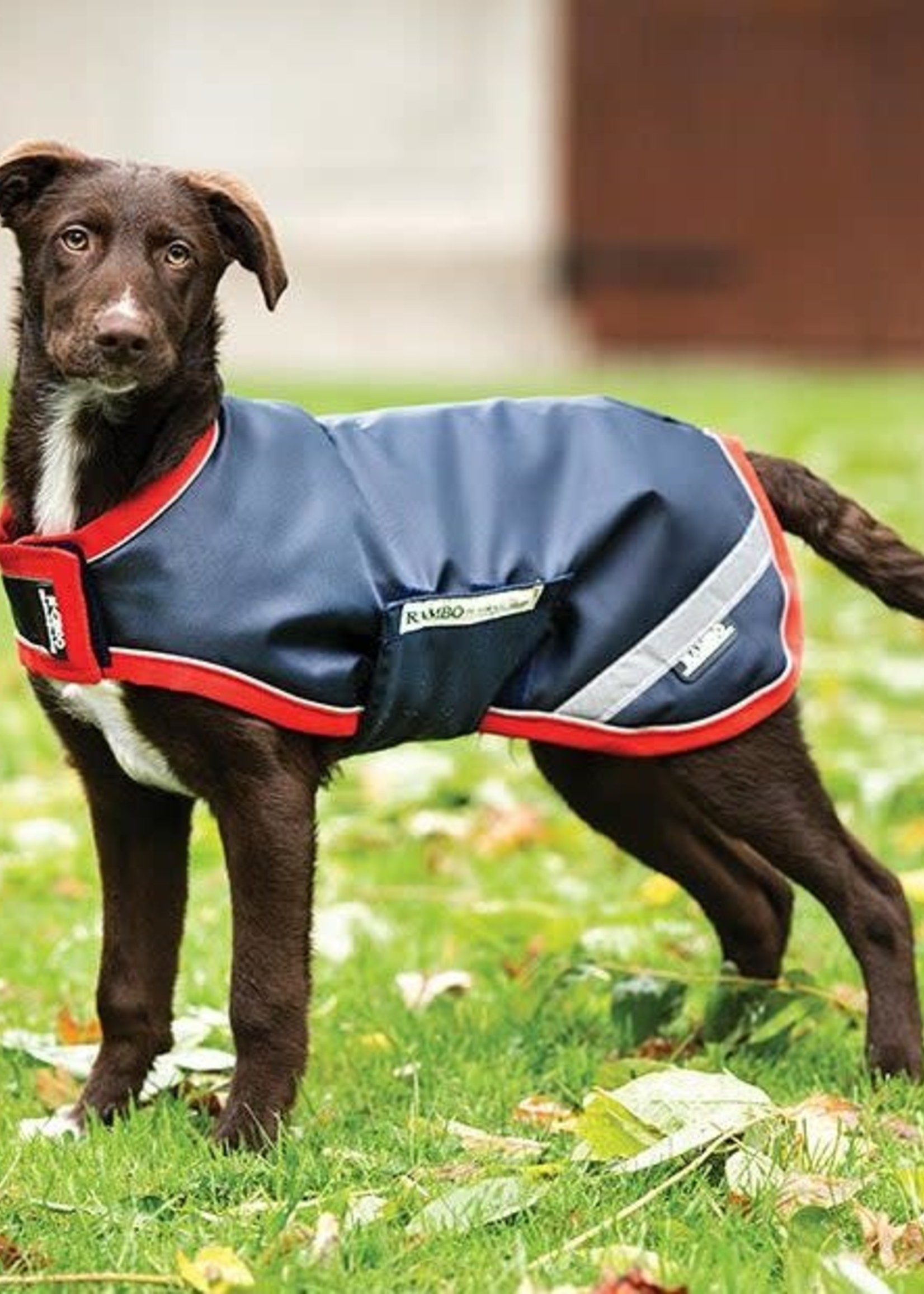 Rambo Horseware Rambo Dogware Waterproof 100gm Dog Coat