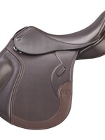GFS GFS Transition GP Saddle