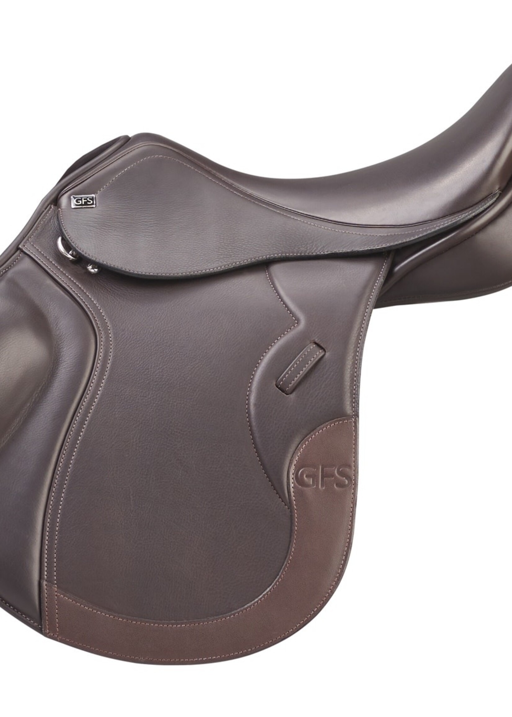 GFS GFS Transition GP Saddle