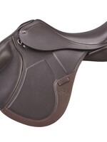 GFS GFS Transition Jump Saddle