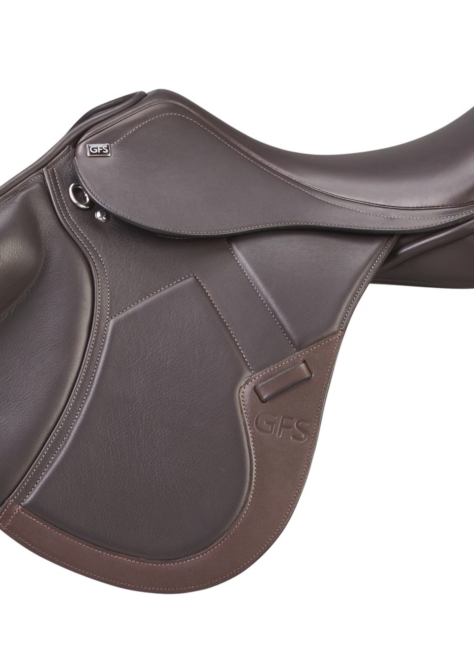GFS GFS Transition Jump Saddle