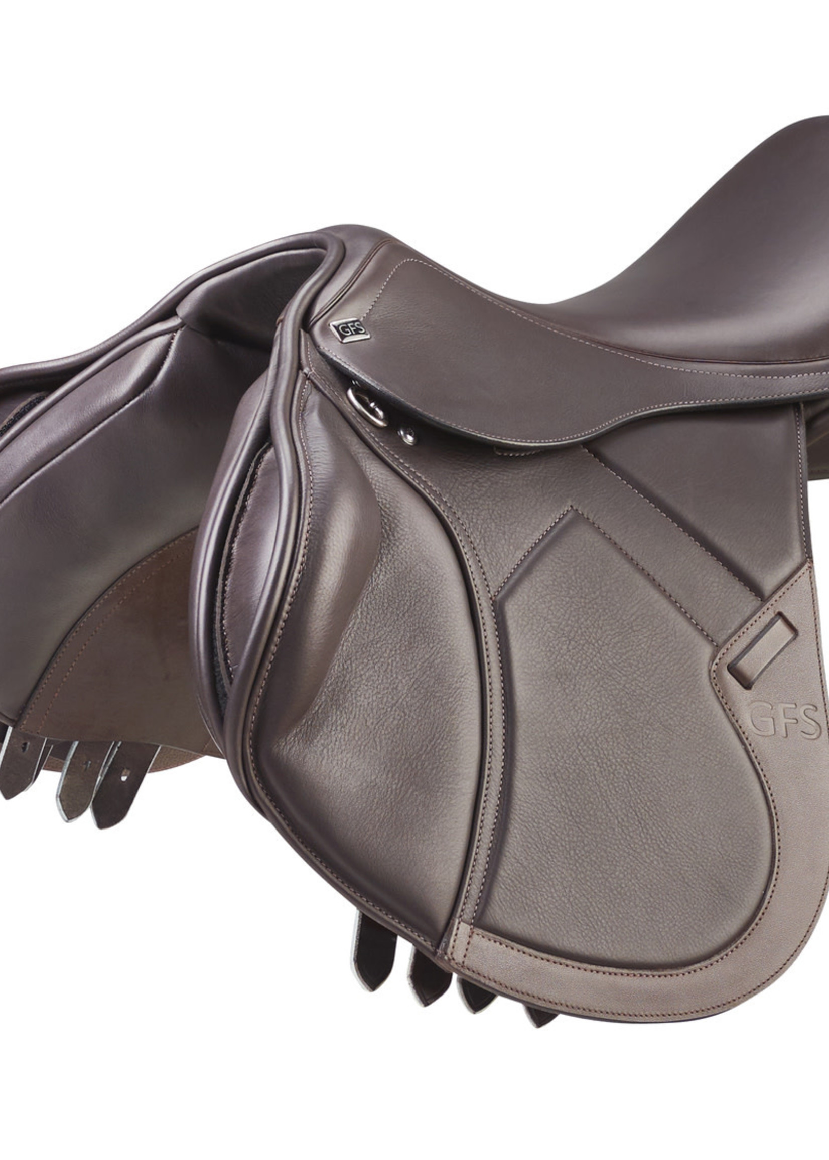 GFS GFS Transition Jump Saddle