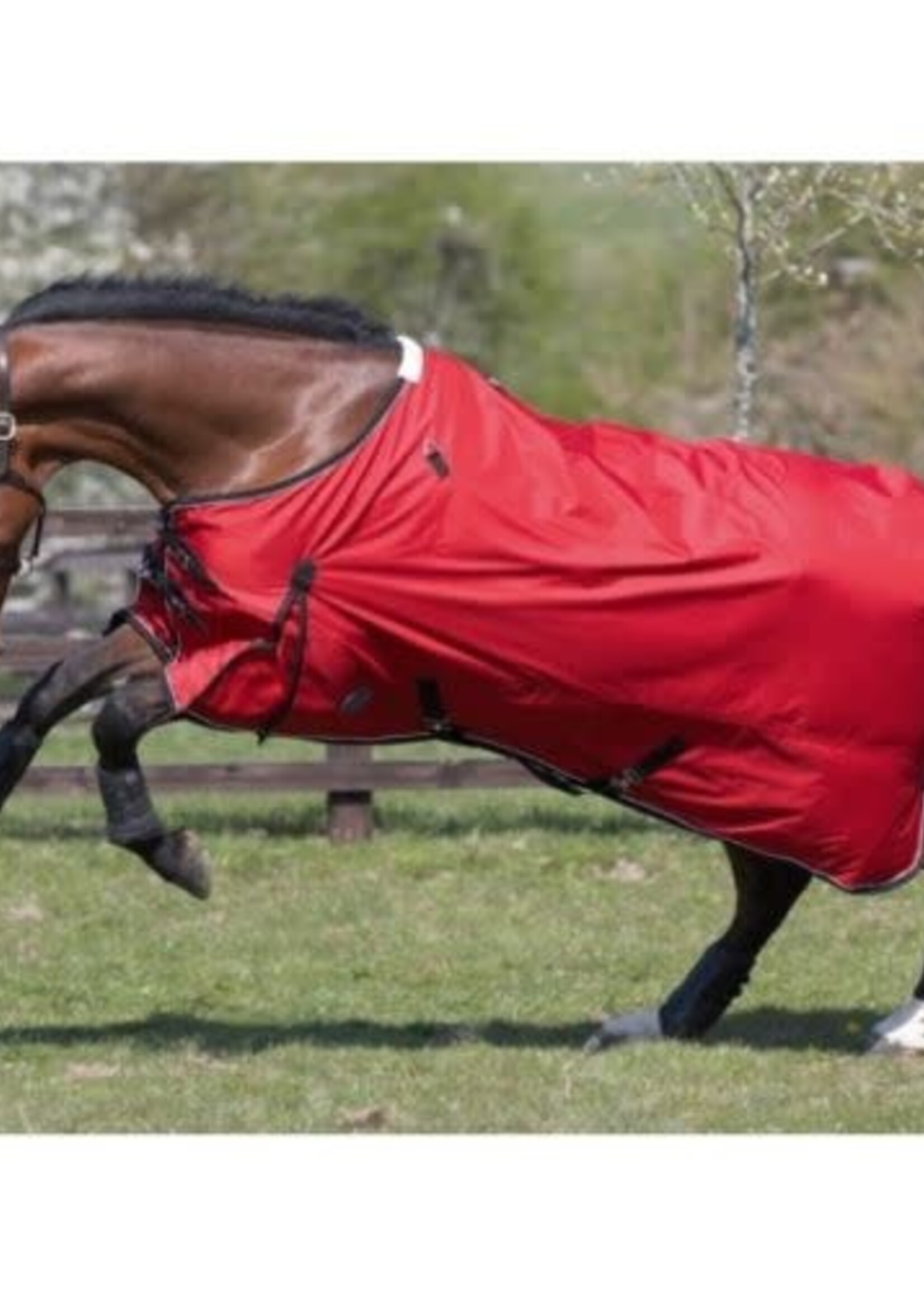 Bridleway Bridleway Canora Spring & Summer Lightweight 600D Turnout Rug