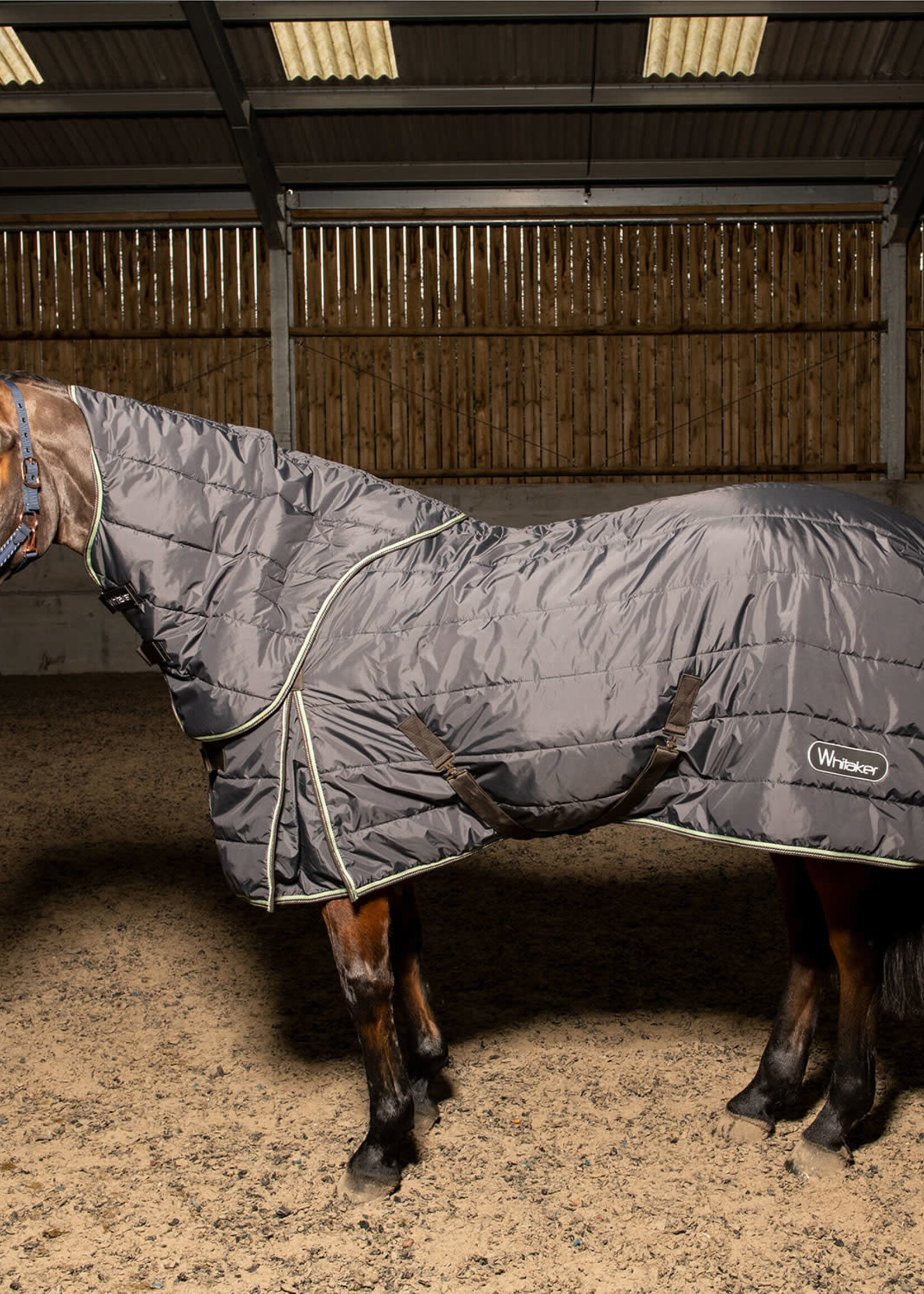 Whitaker Whitaker Weston 200g Combo 'Detach-A-Neck' Stable Rug