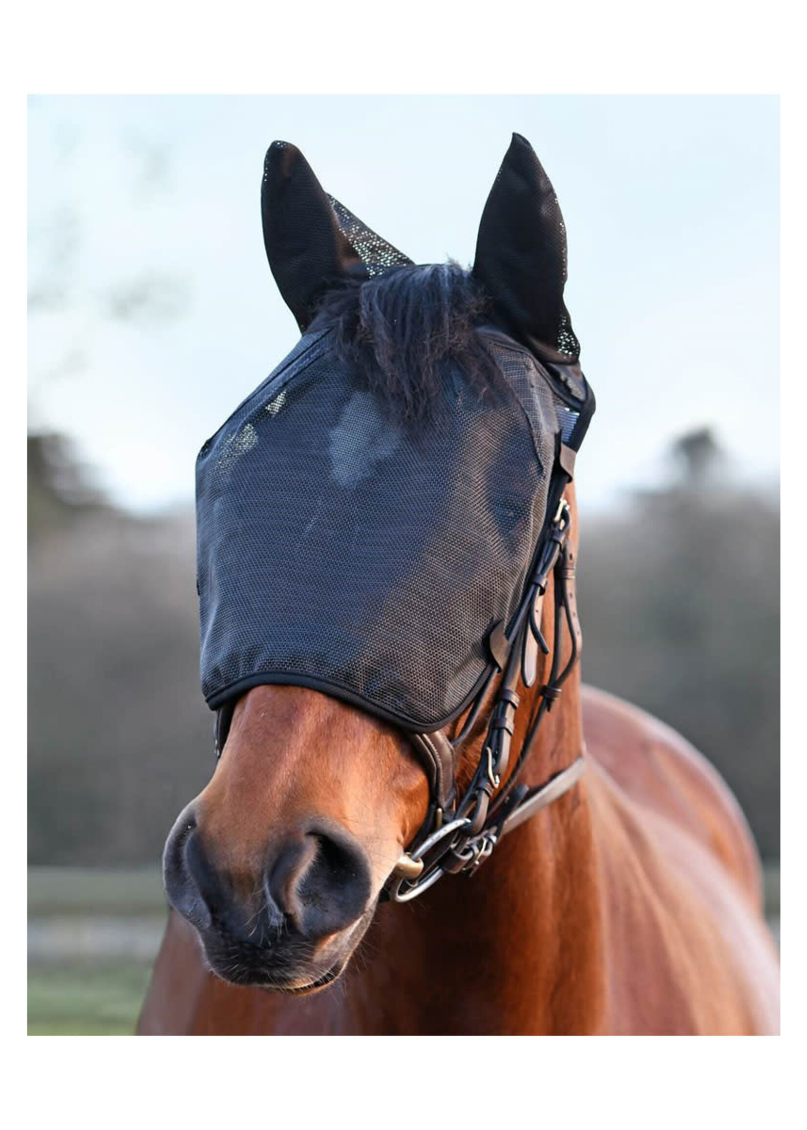 Equilibrium Equilibrium Riding Fly Mask With Ears