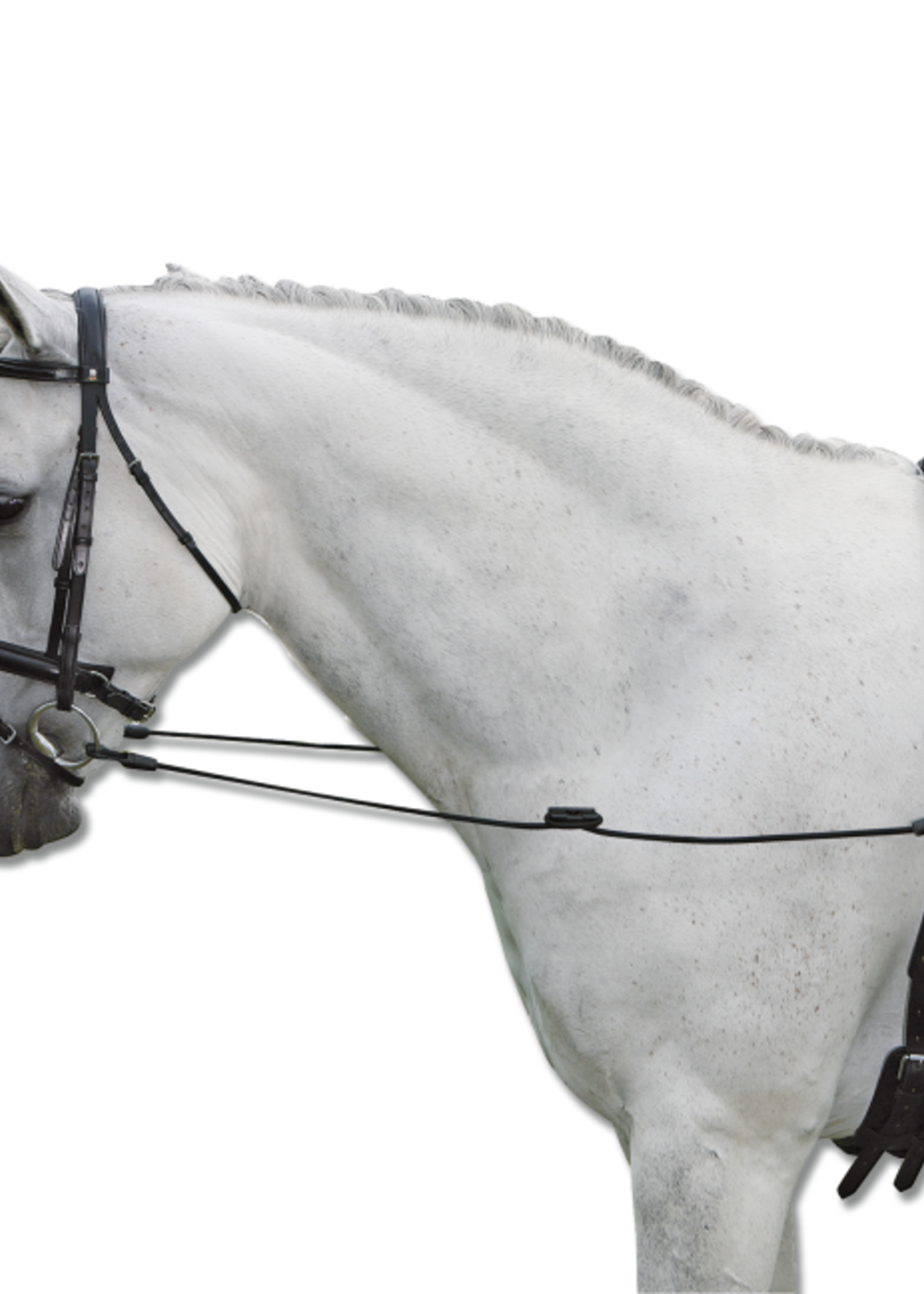 Waldhausen Waldhausen Elastic Side Reins