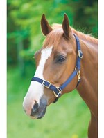 Shires Shires Adjustable Headcollar
