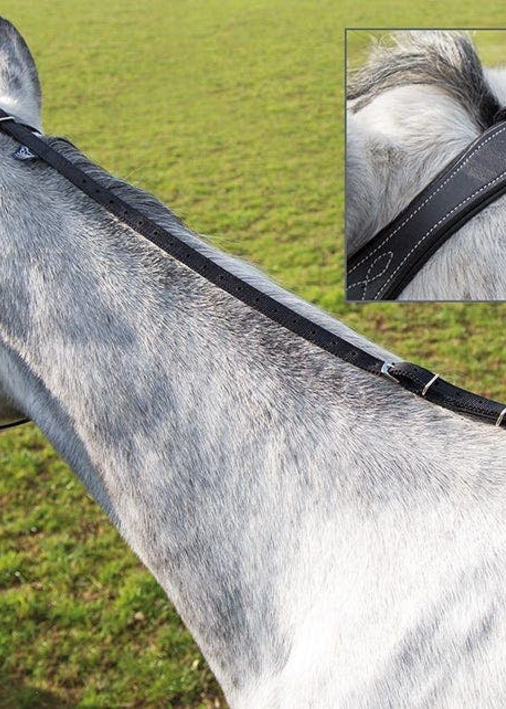 Shires Shires Daisy Rein