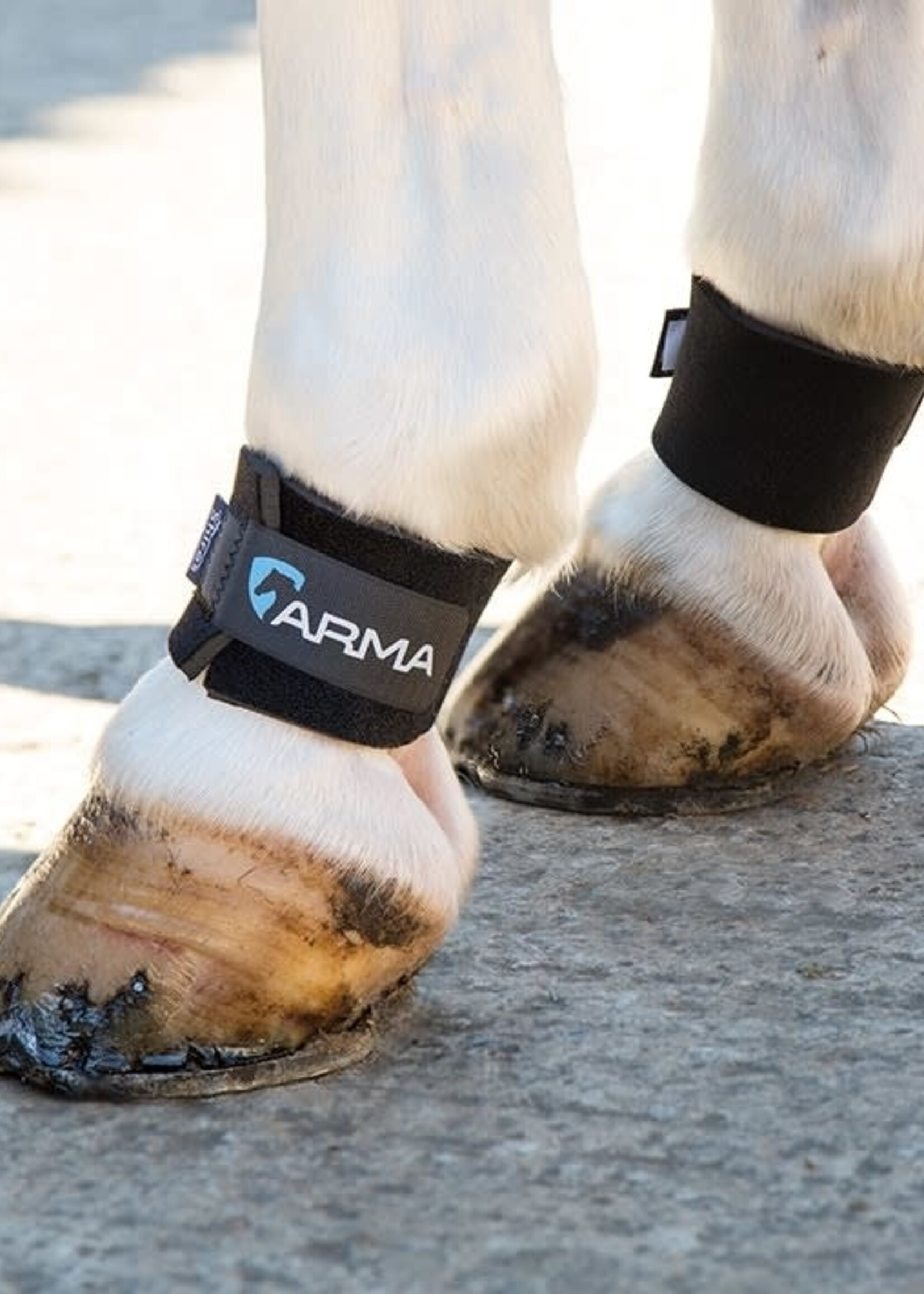 Arma Arma Pastern Wraps Pair