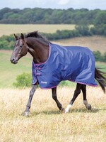 Tempest Tempest Tempest Original 100 Turnout Rug