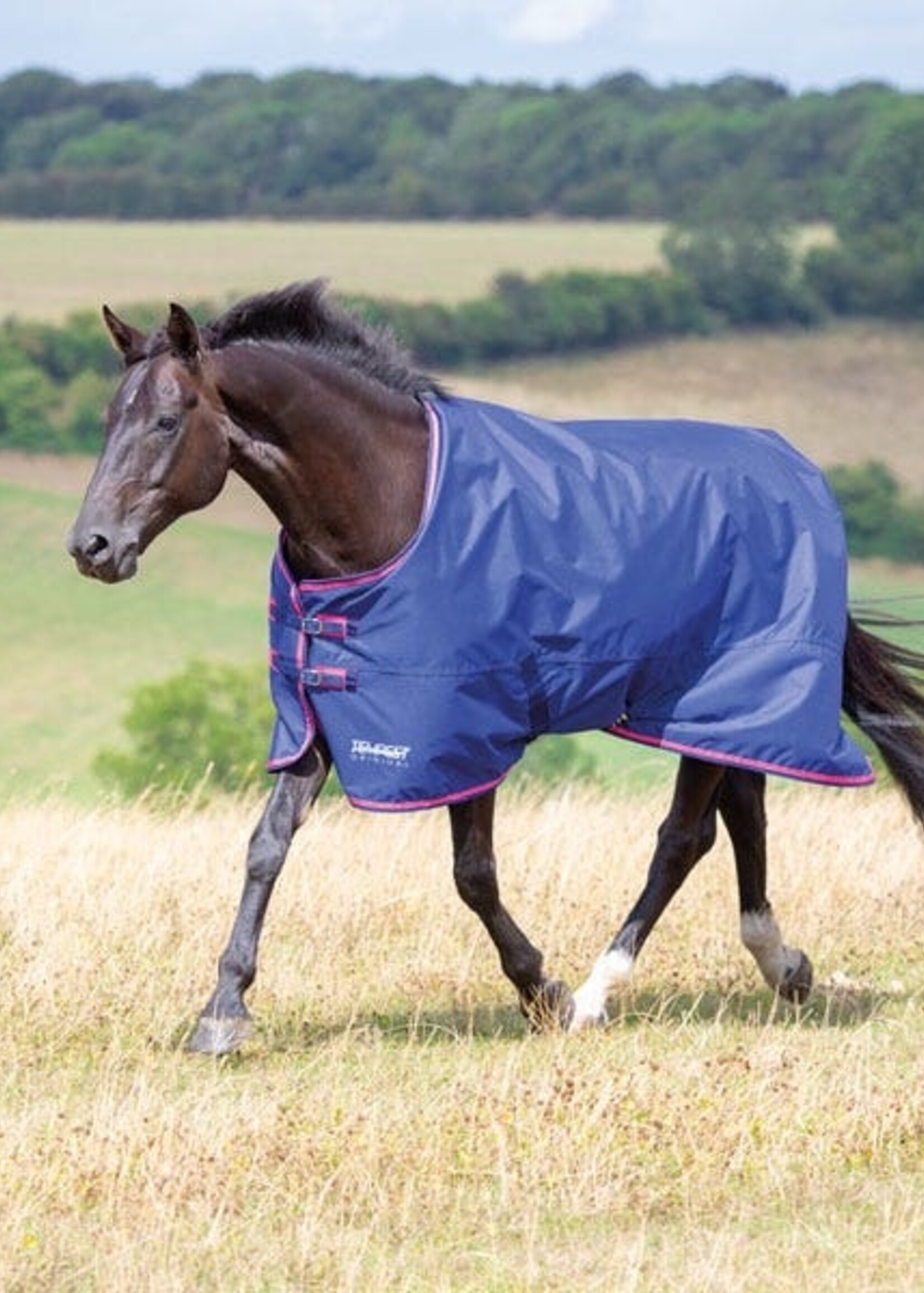 Tempest Tempest Tempest Original 100 Turnout Rug