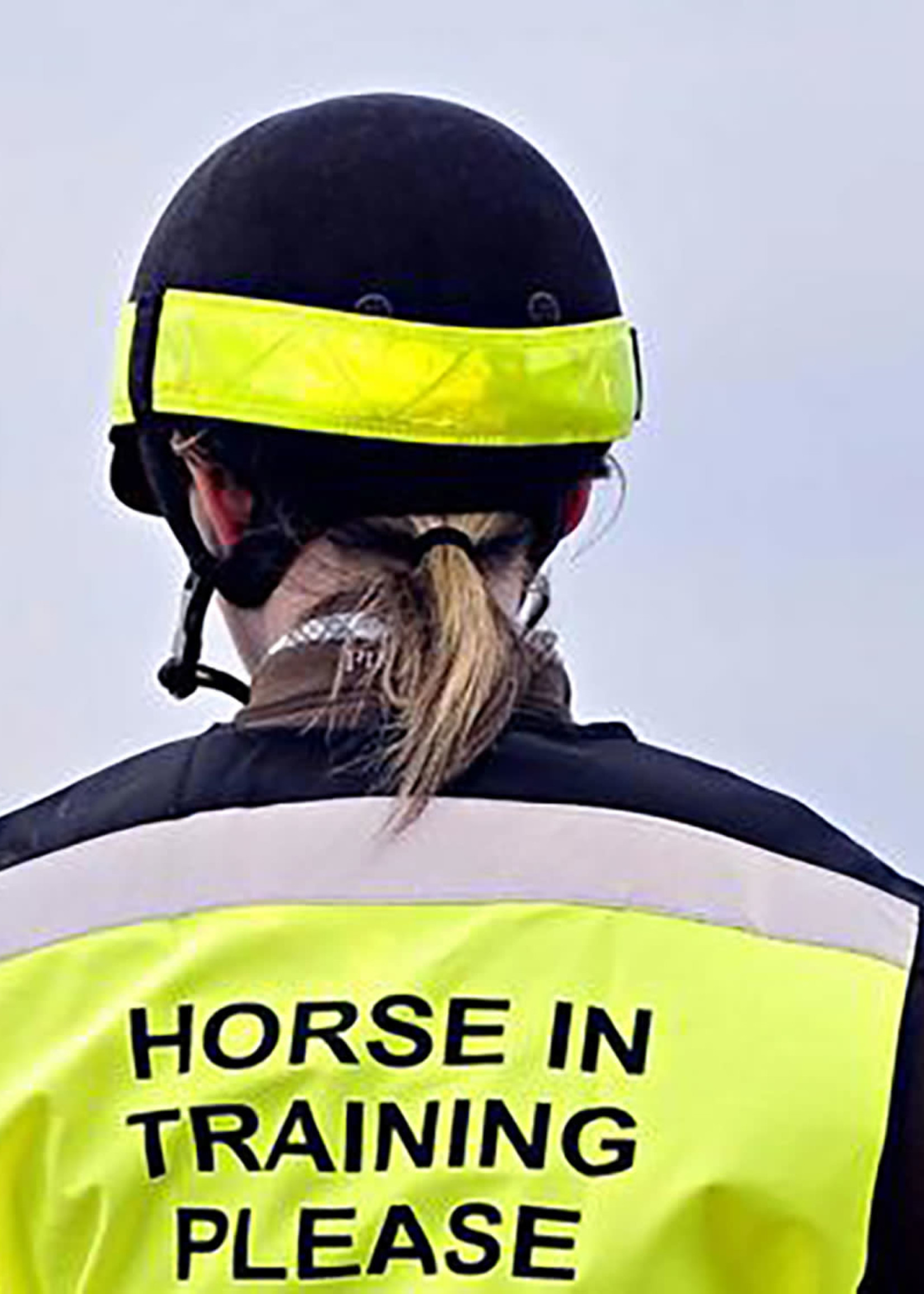 Equisafety Equisafety Reflective Hat Band