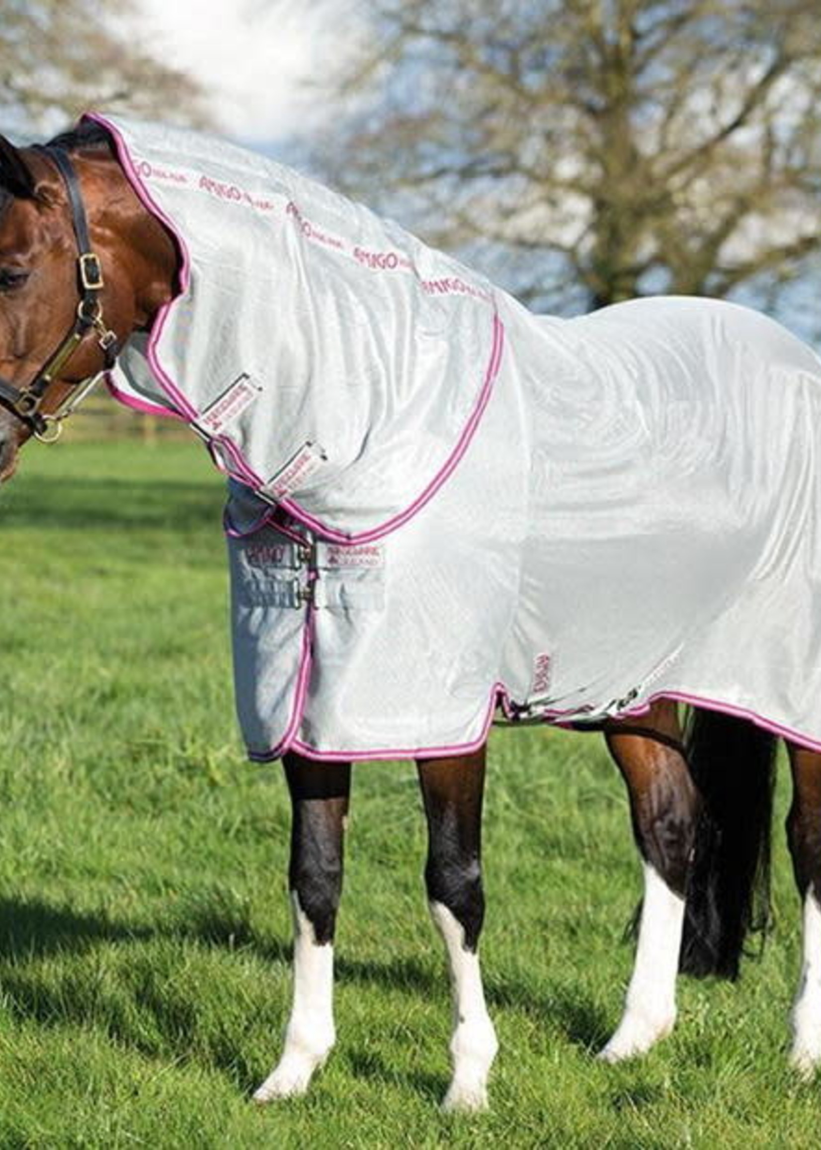 Amigo Horseware Amigo Bug Rug