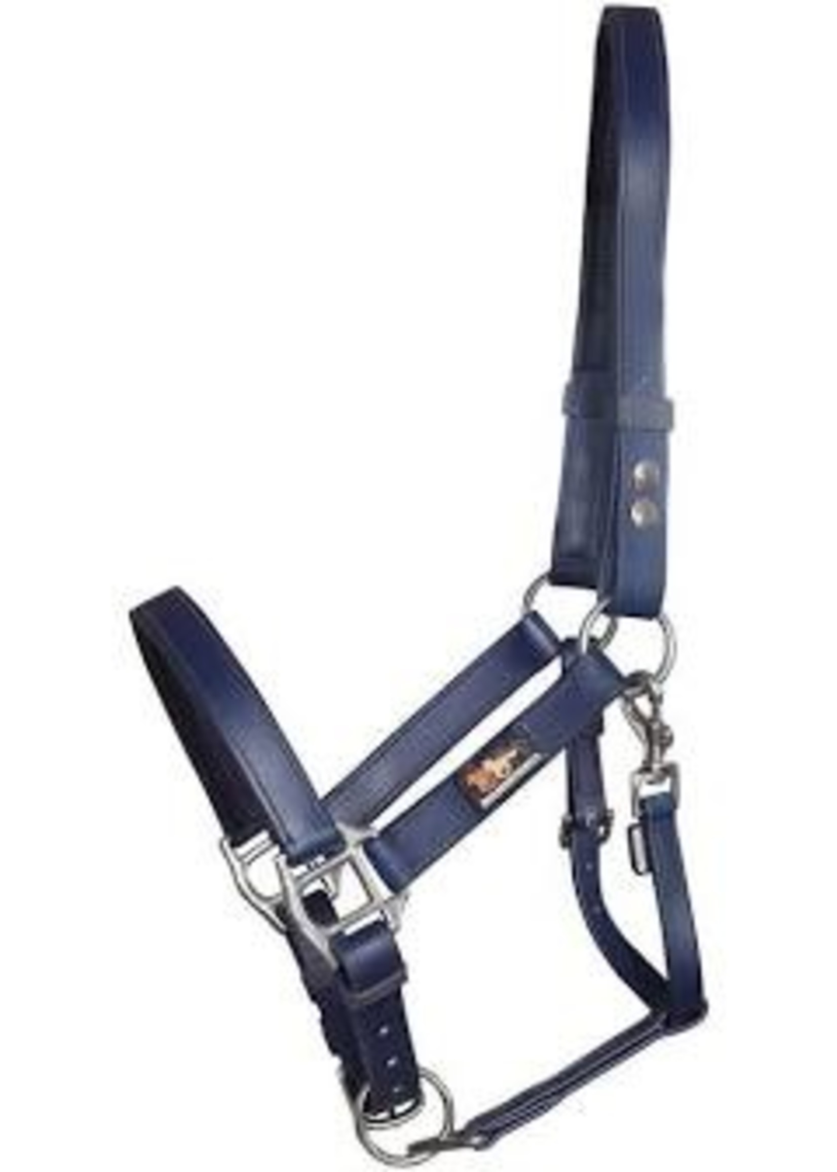 Equilibrium Equilibrium Stellar Headcollar