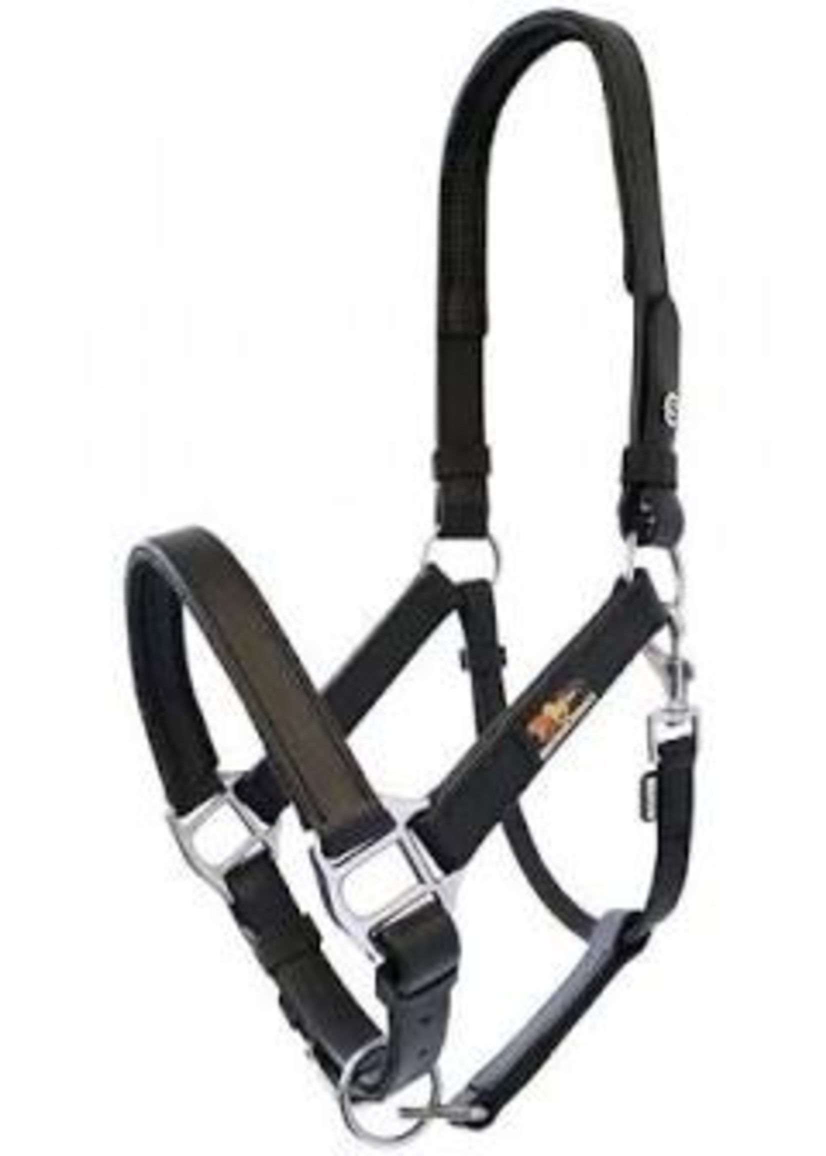 Equilibrium Equilibrium Stellar Headcollar