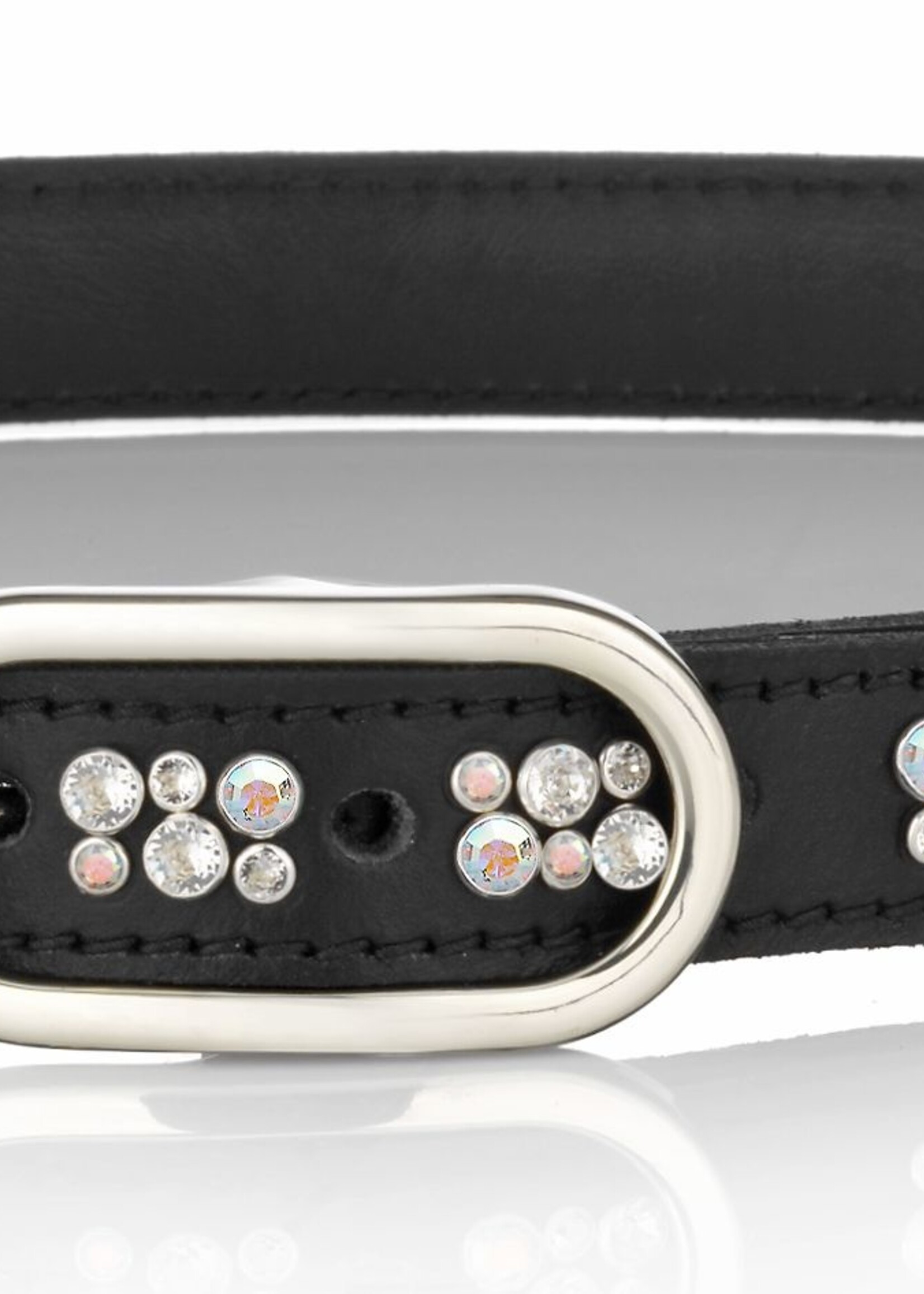 Judi Judi Paris Odessa Swarovski Crystal Belt Black Patent