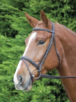 Shires Shires Aviemore Comfort Fit Bridle