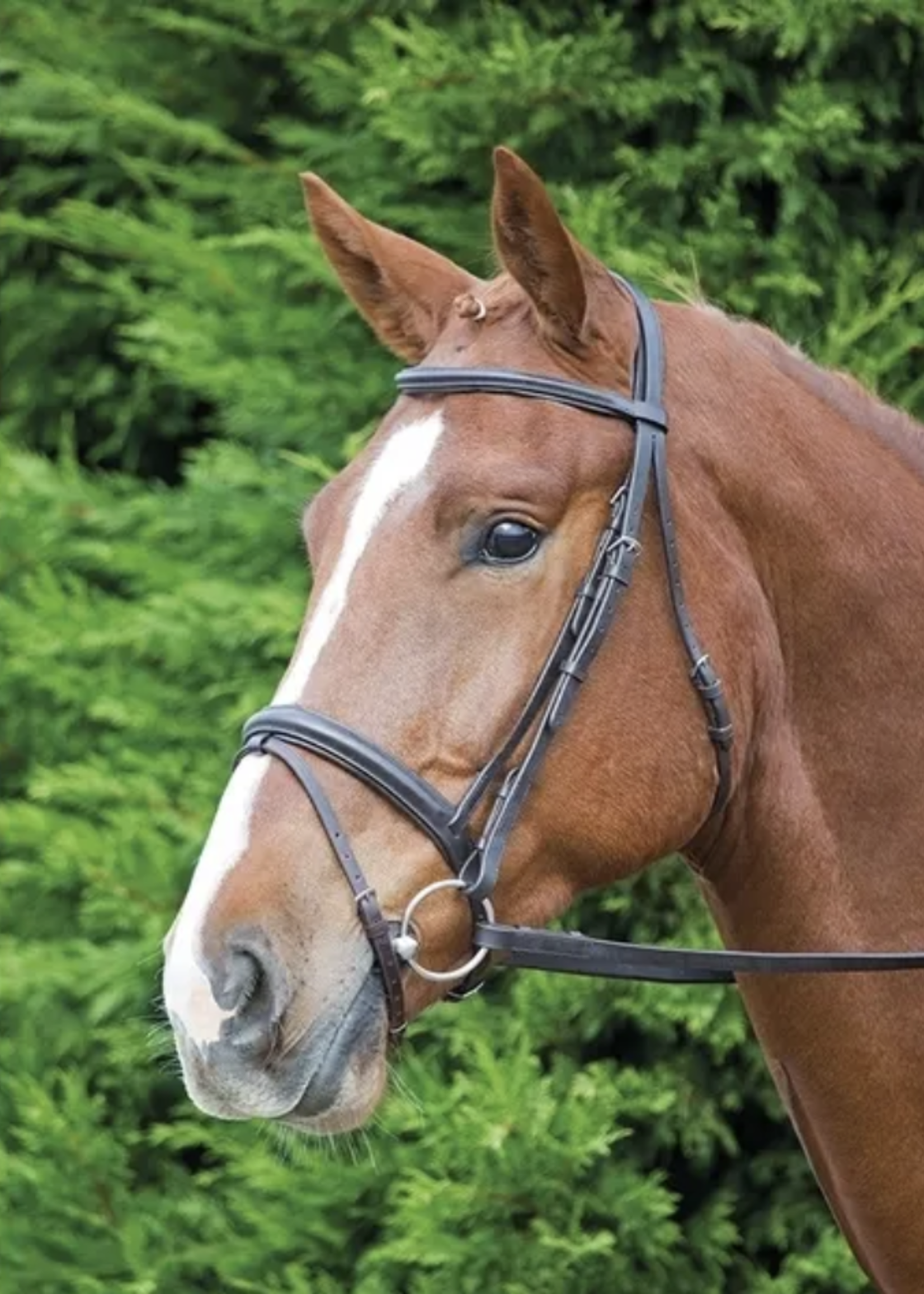 Shires Shires Aviemore Comfort Fit Bridle
