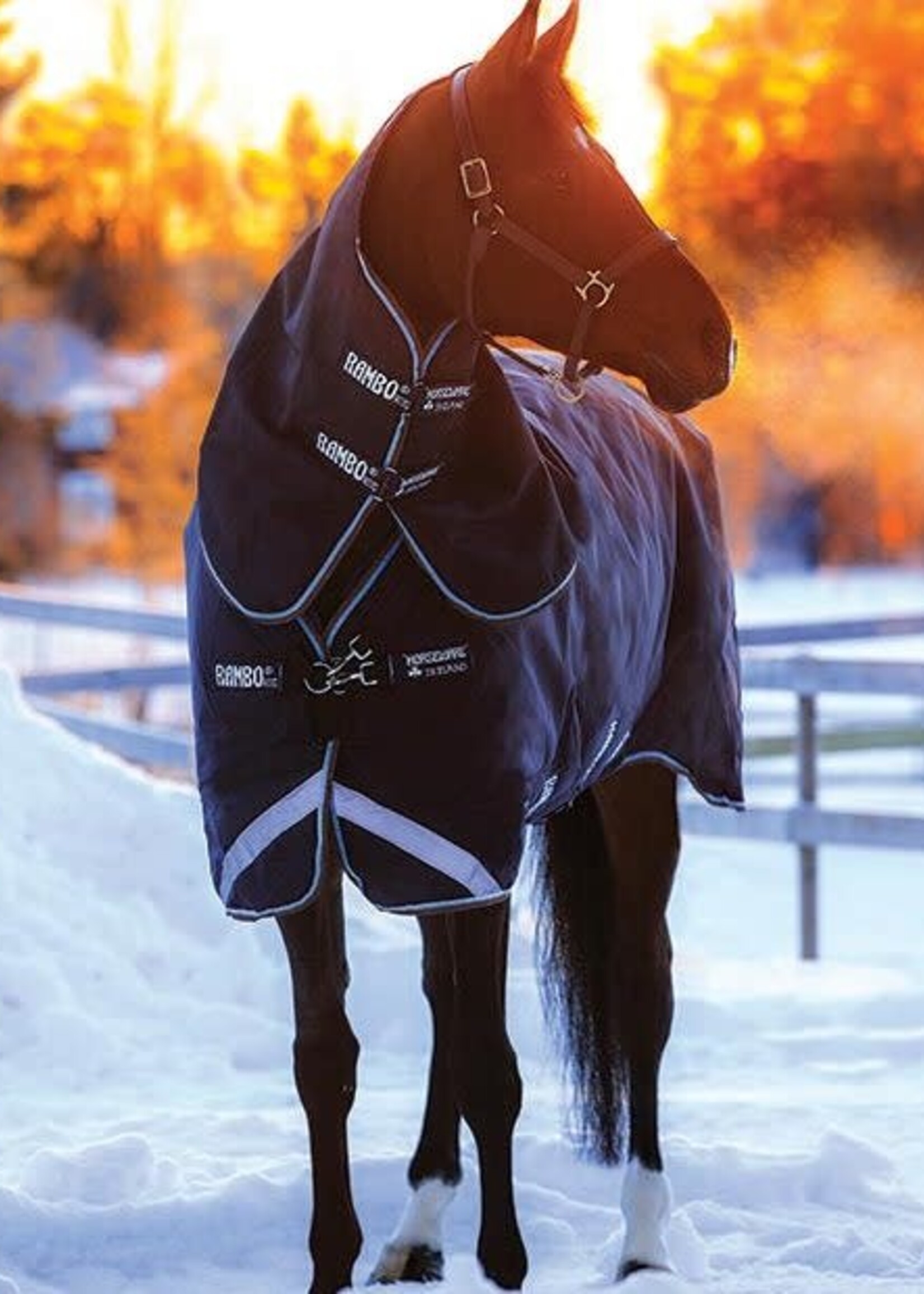 Rambo Horseware Rambo Duo Turnout Rug (100gm Rug & Neck with 300gm Liner)