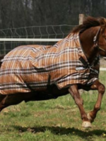 Rhino Horseware Rhino Wug Heavy Weight Turnout
