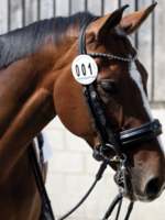 Equetech Equetech Deluxe Leather Bridle Number Holder