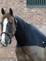 Weatherbeeta Weatherbeeta Lycra Stretch Neck Hood