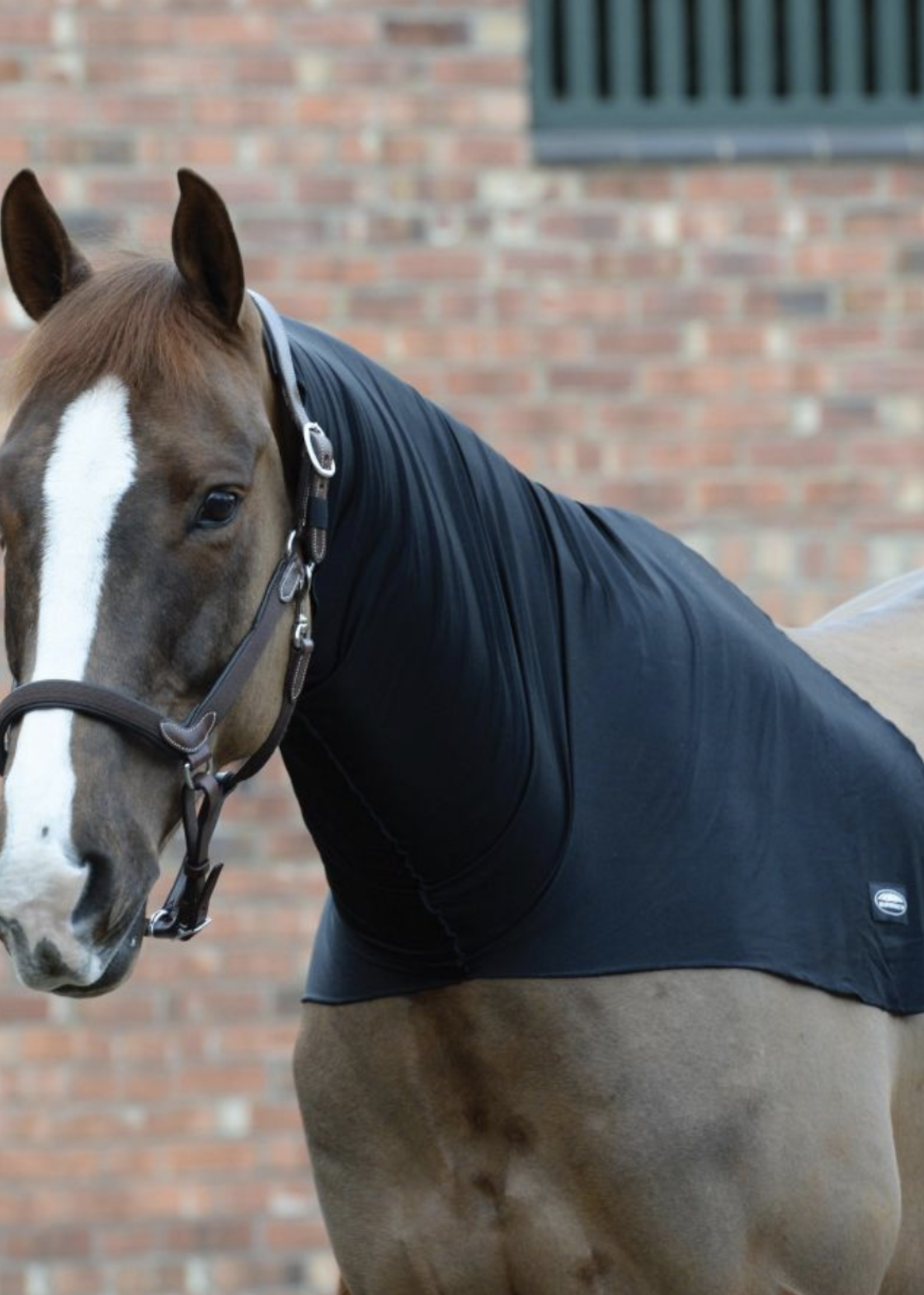 Weatherbeeta Weatherbeeta Lycra Stretch Neck Hood