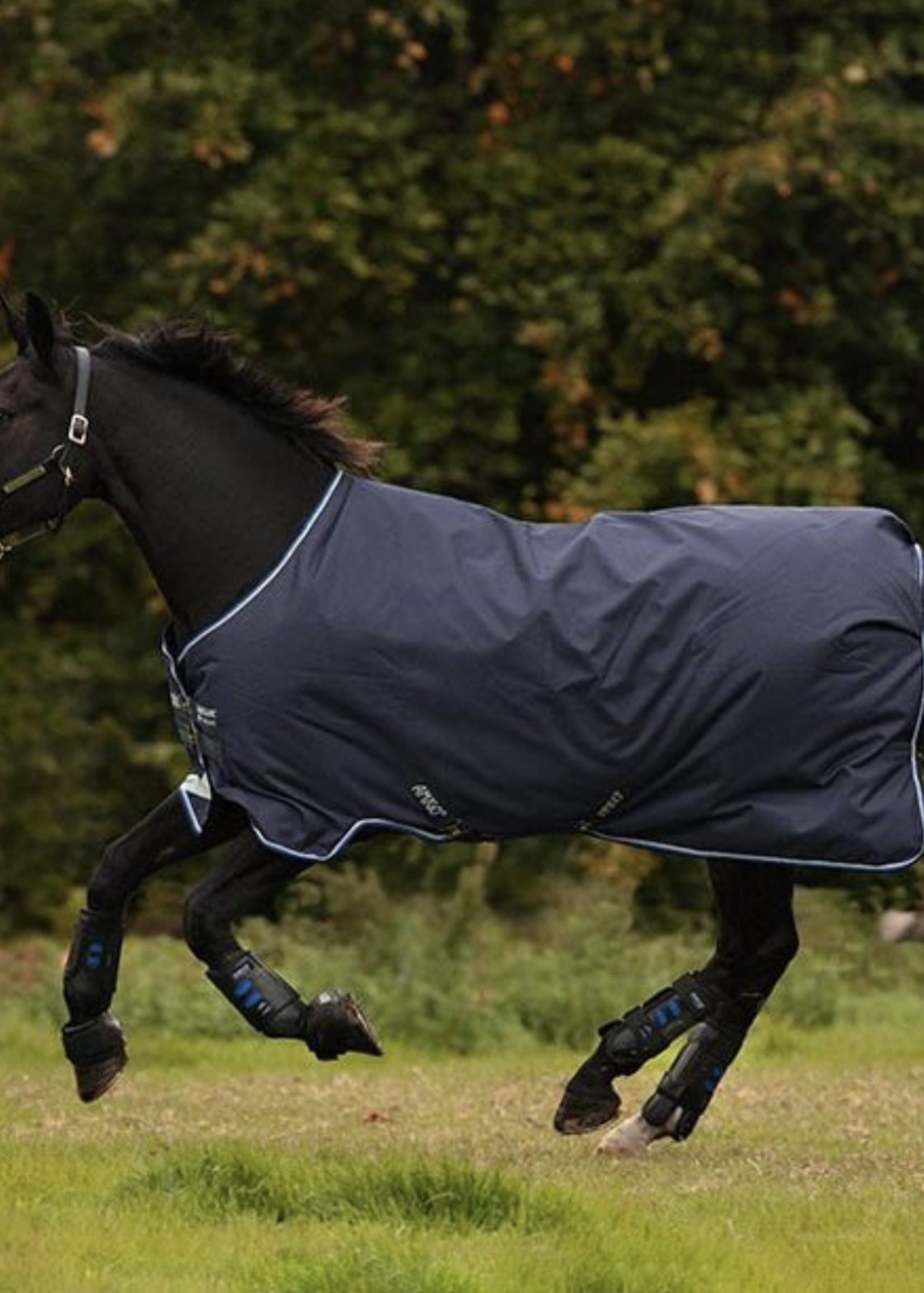Amigo Horseware Amigo Bravo 12  Pony Heavy Weight Turnout Rug
